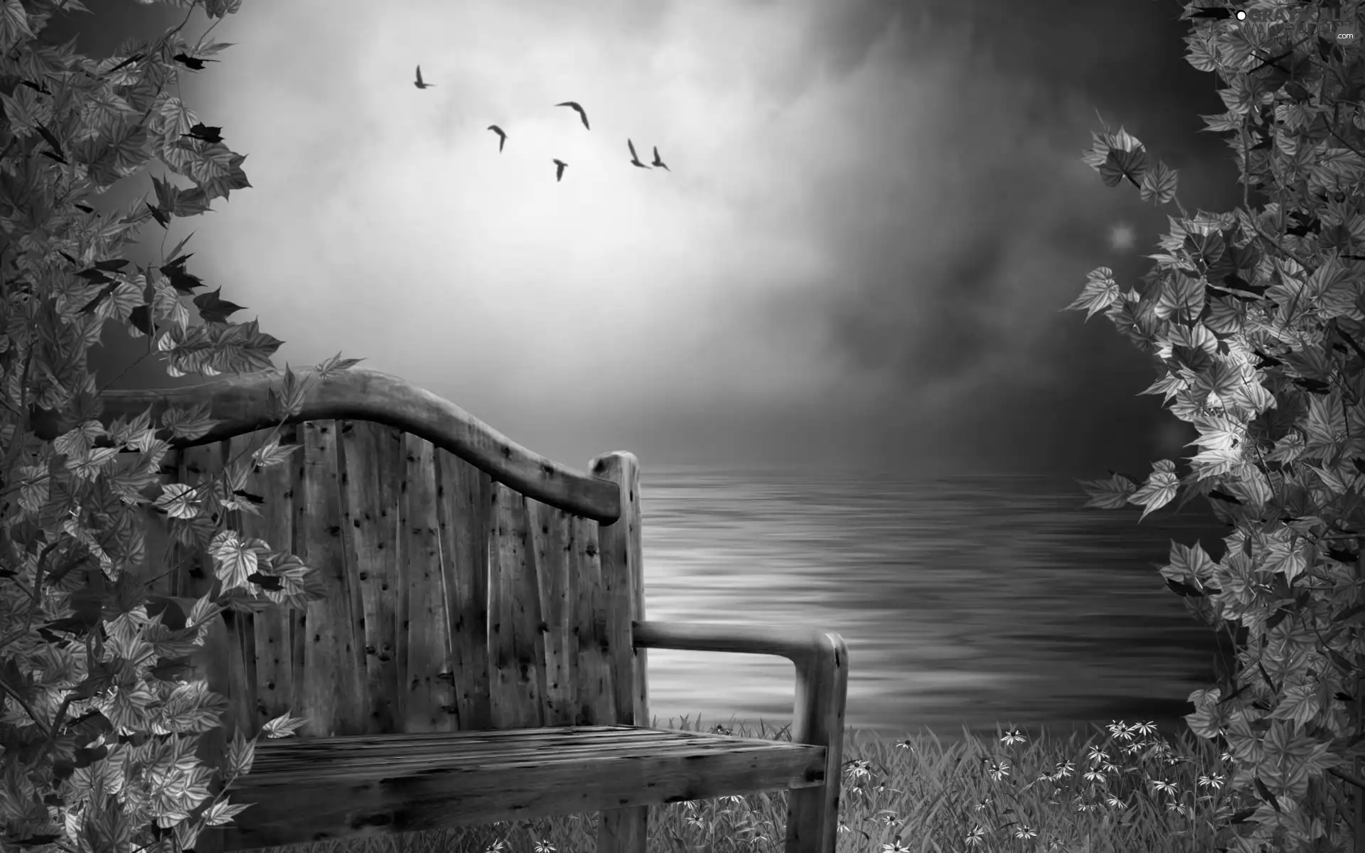 Leaf, Bench, lake