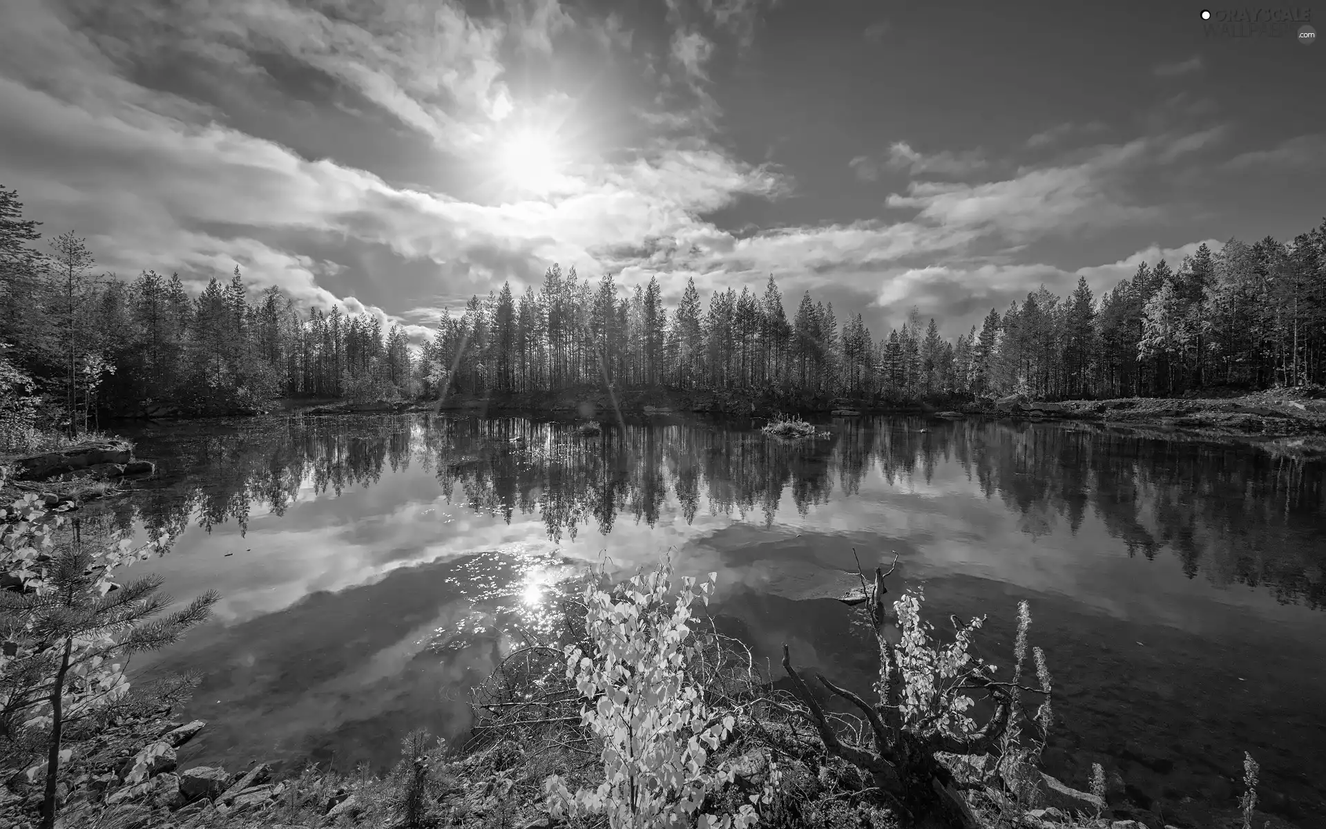 trees, autumn, Yellowed, Leaf, viewes, lake