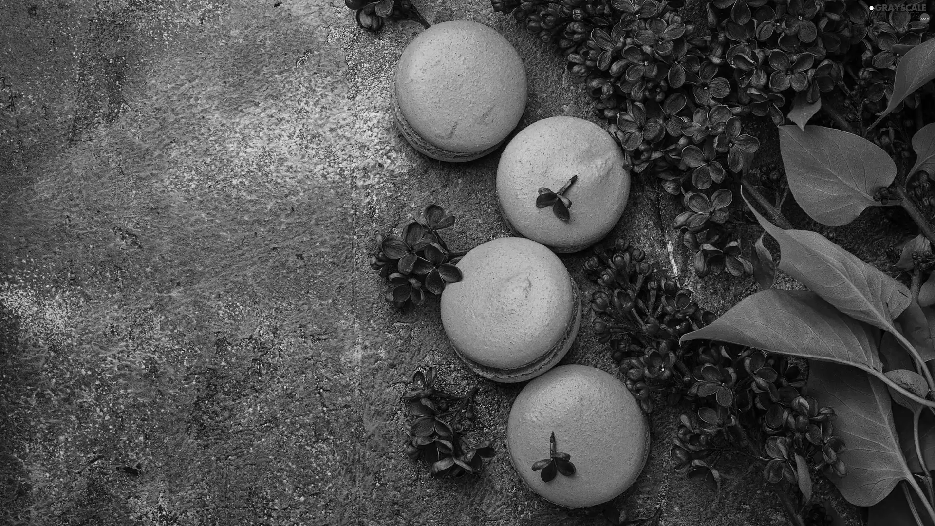 Violet, Cookies, without, Leaf, Syringa, Macaroons