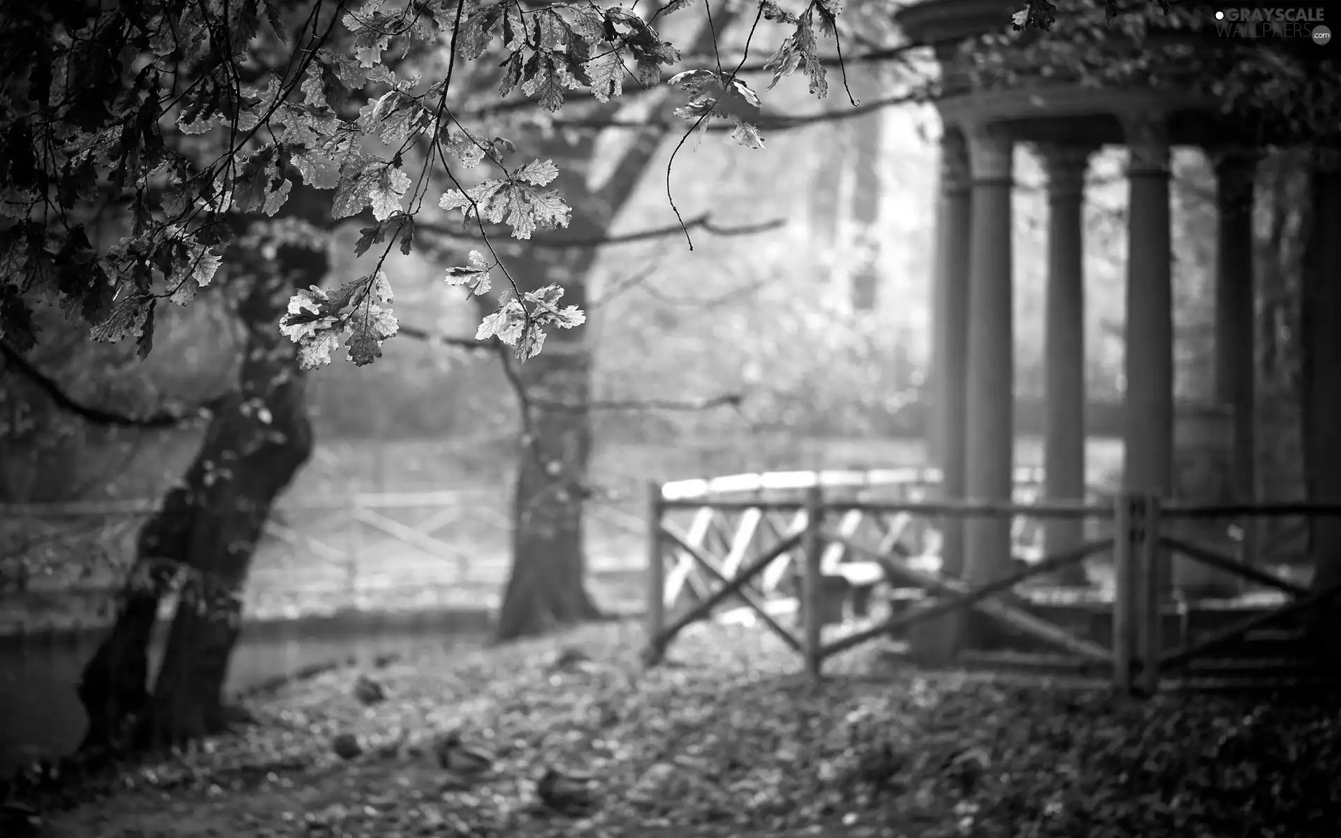 arbour, trees, viewes, Park