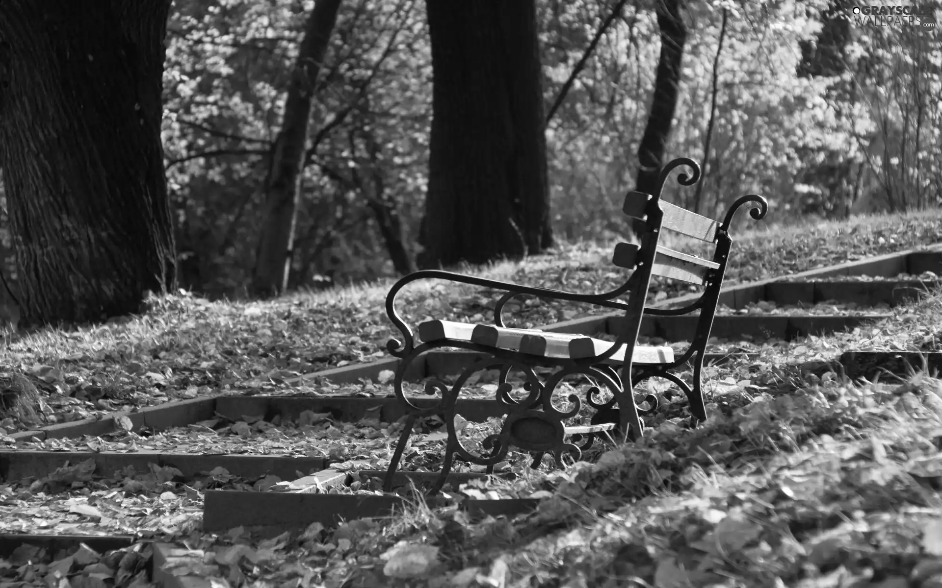 Park, autumn, Leaf, Bench