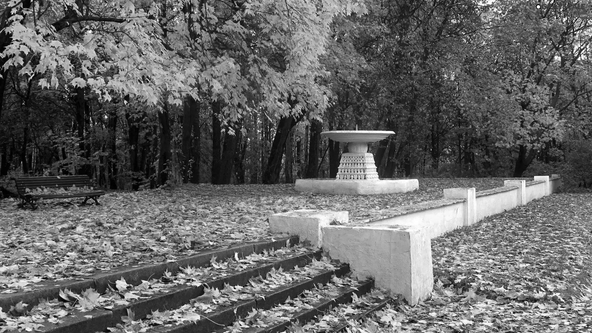 Park, Bench, Leaf, autumn