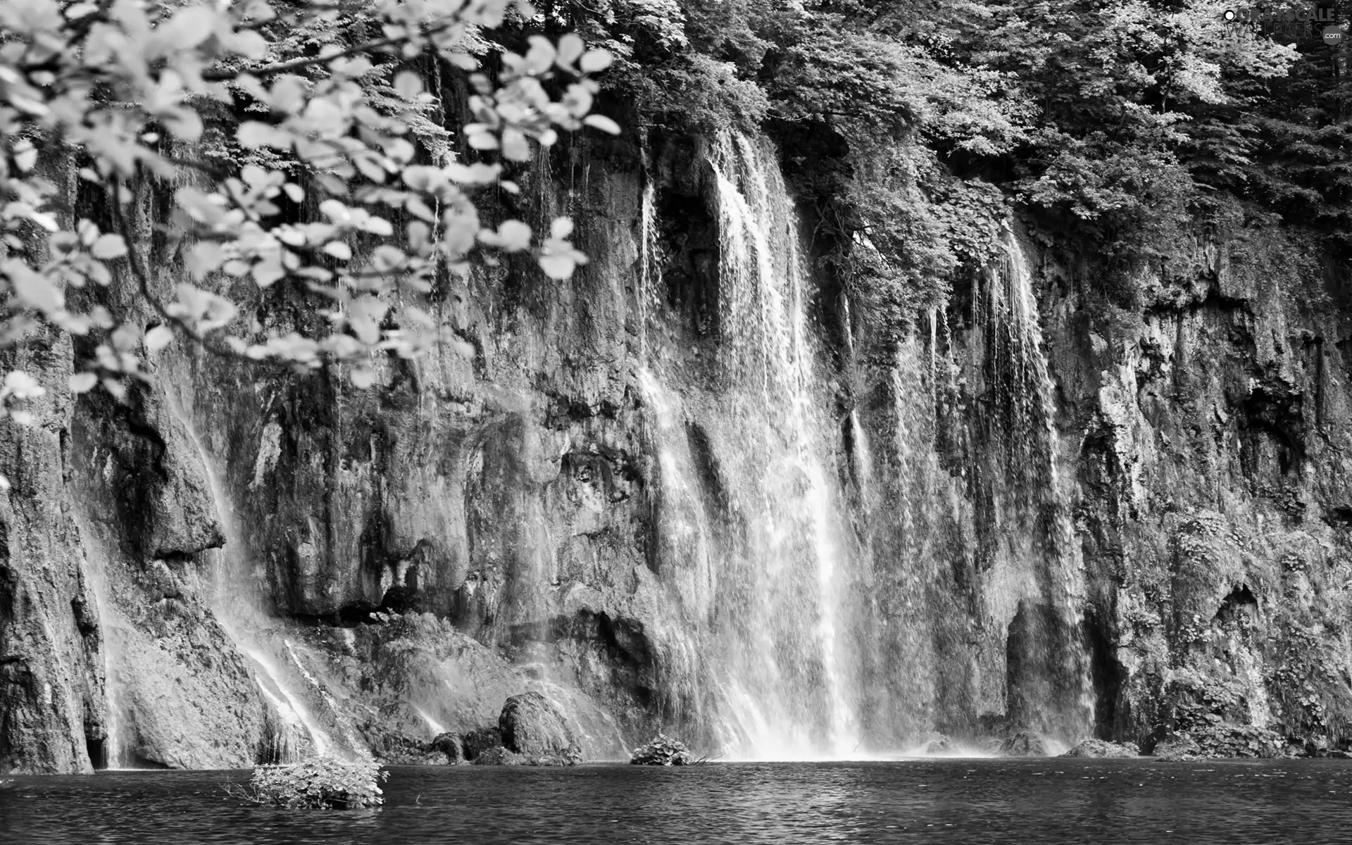 Leaf, waterfall, Rocks