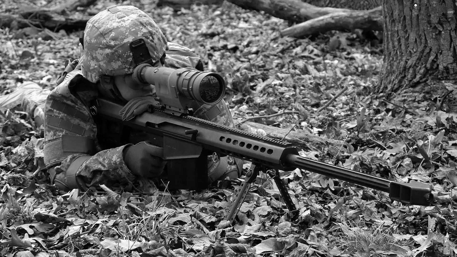 Leaf, sniper, Sniper