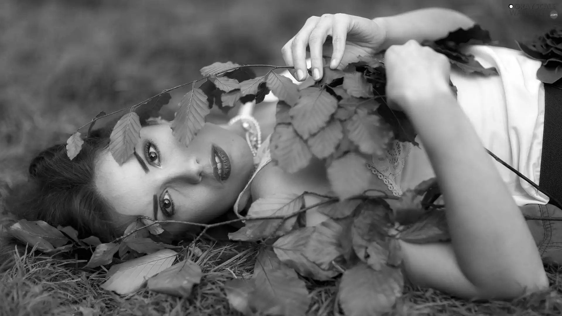 Women, Eyes, Leaf, dark