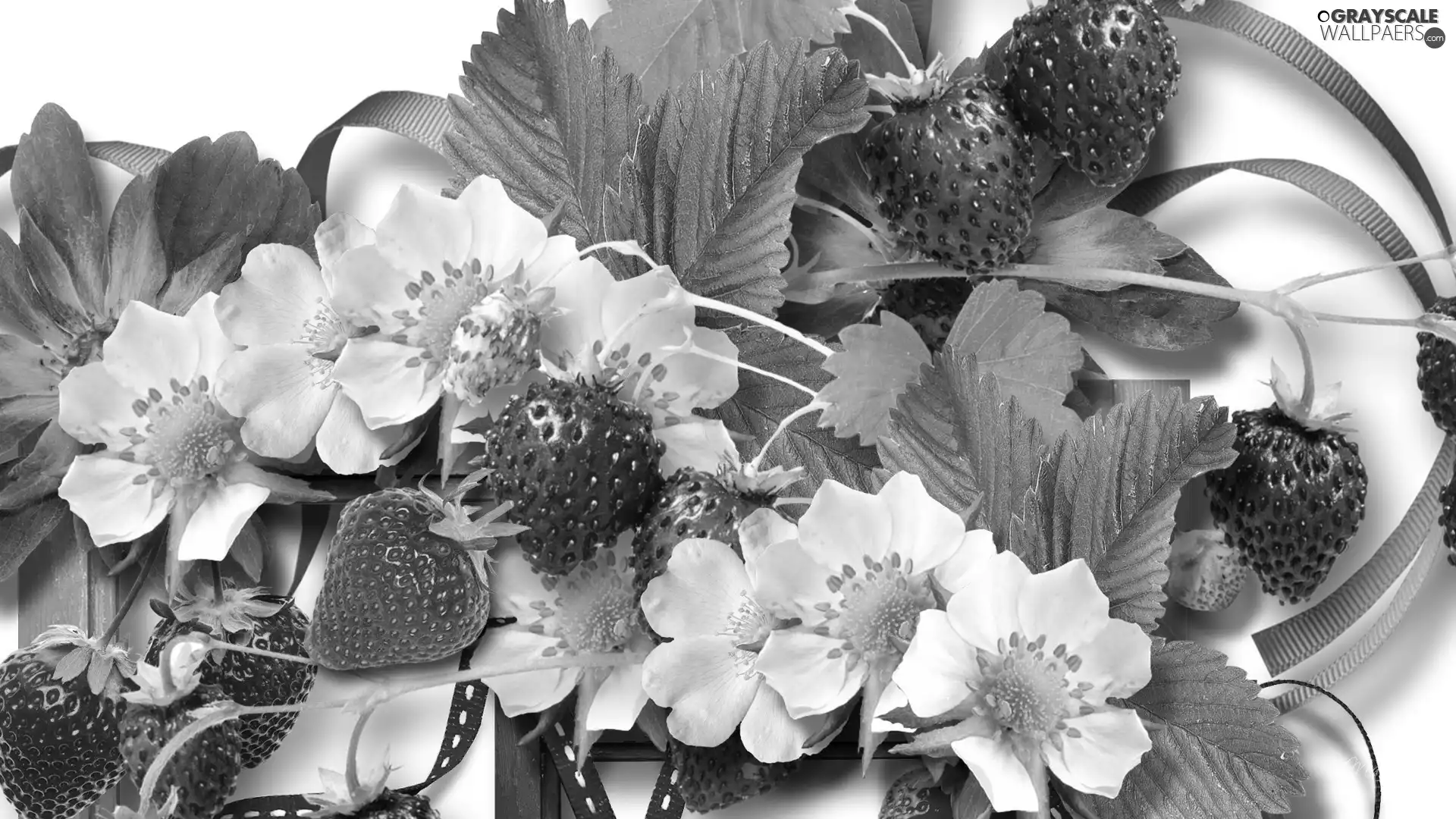 leaves, Strawberries, Flowers