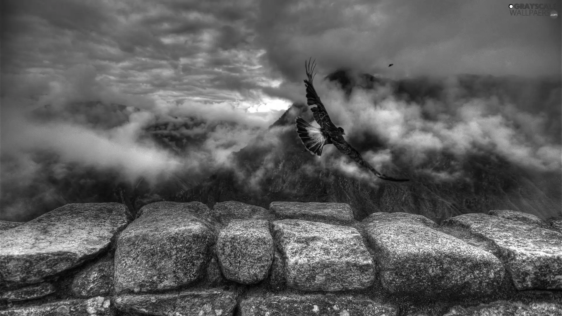 Mountains, birds, ledge, Fog