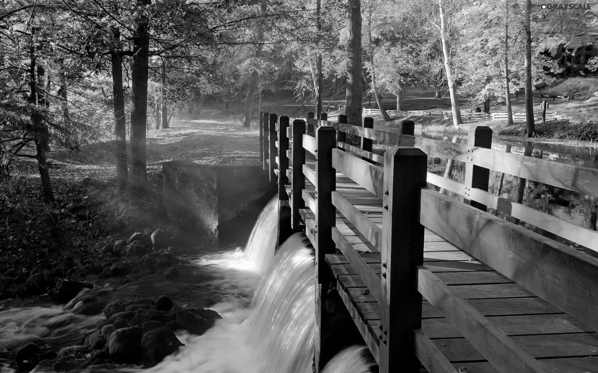 bridge, ligh, autumn, sun, luminosity, River, Park, flash