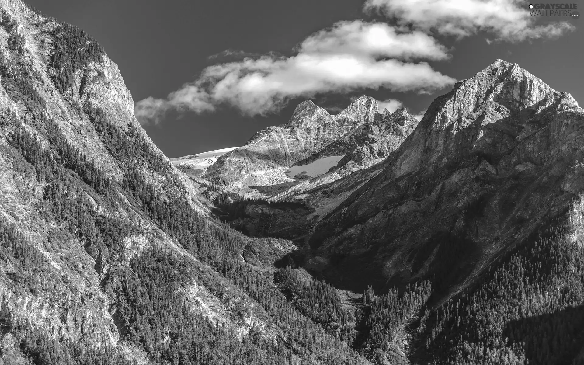 forest, ligh, shadow, sun, luminosity, canyon, Mountains, flash