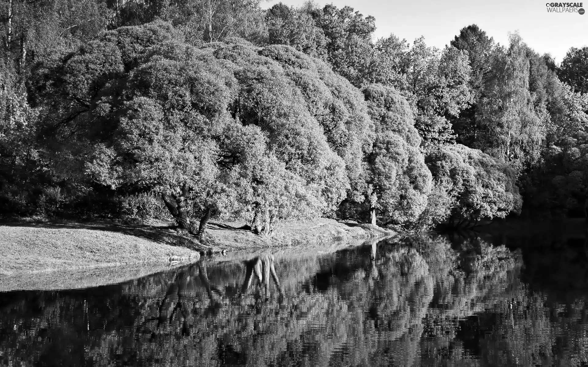 Przebijające, ligh, reflection, sun, luminosity, River, Park, flash