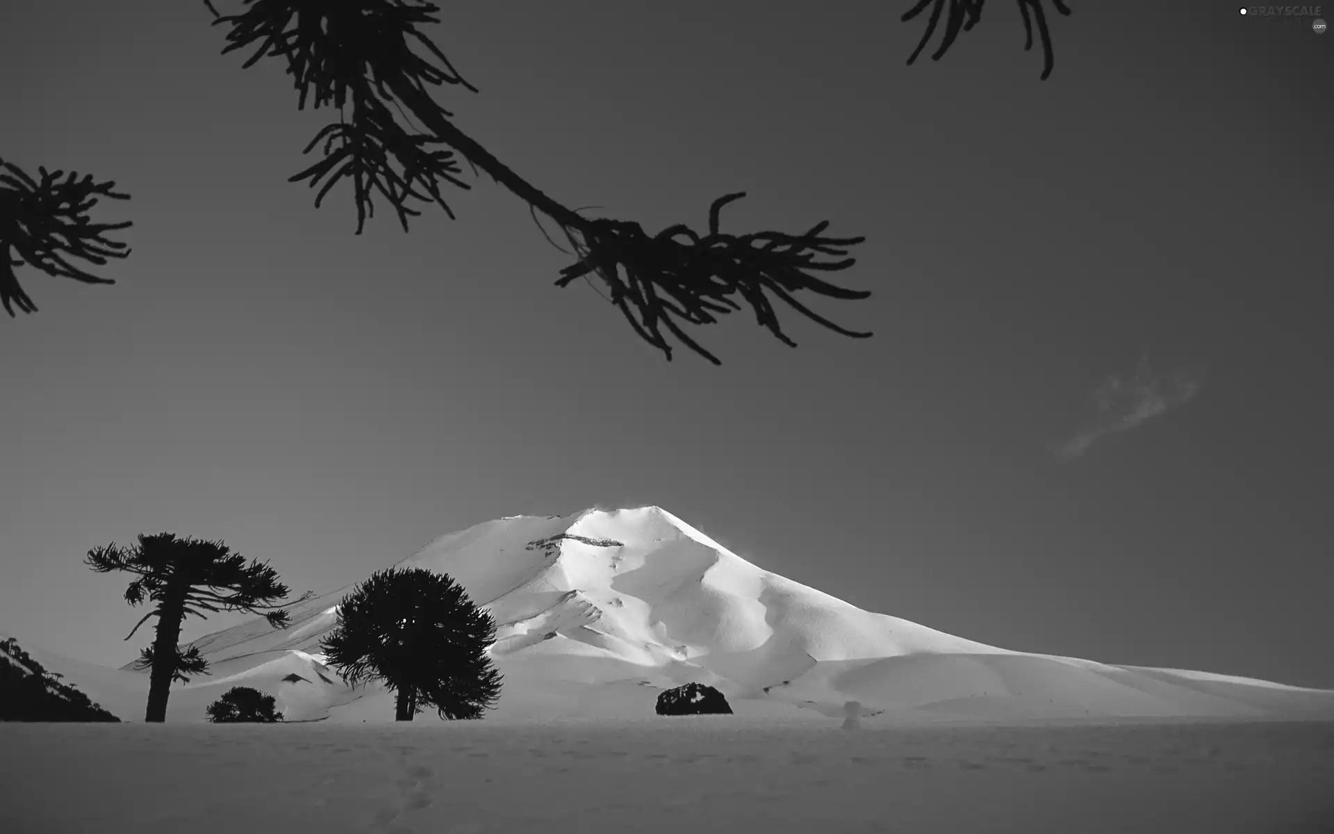 viewes, ligh, winter, sun, luminosity, trees, Mountains, flash