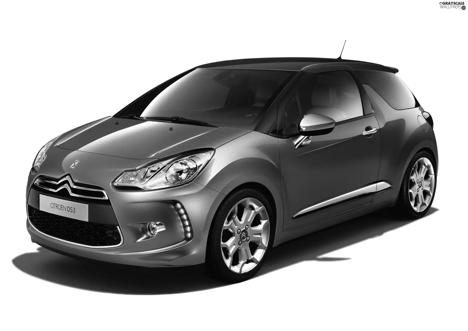 Daily, Citroen DS3, light