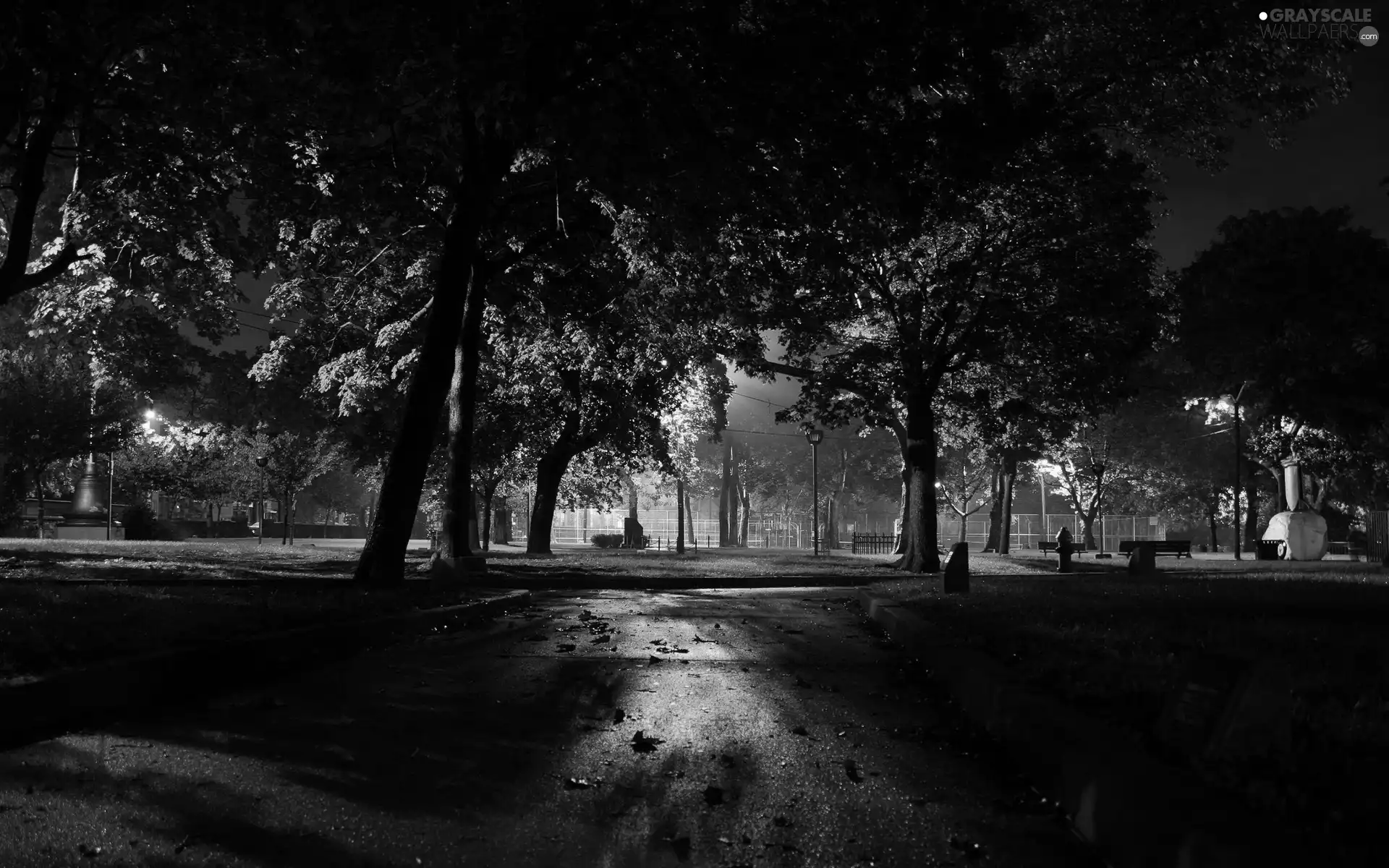 Park, Night, light, alley