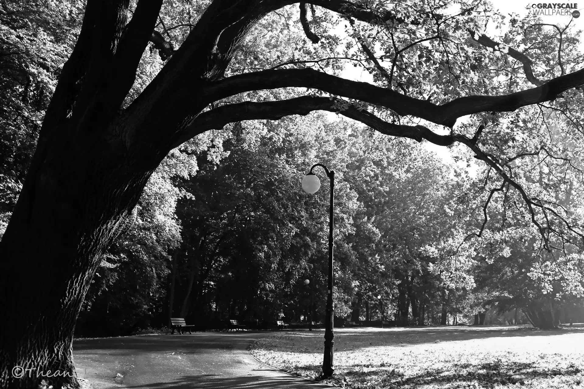 oak, trees, alley, viewes, Park, Lighthouse, bench