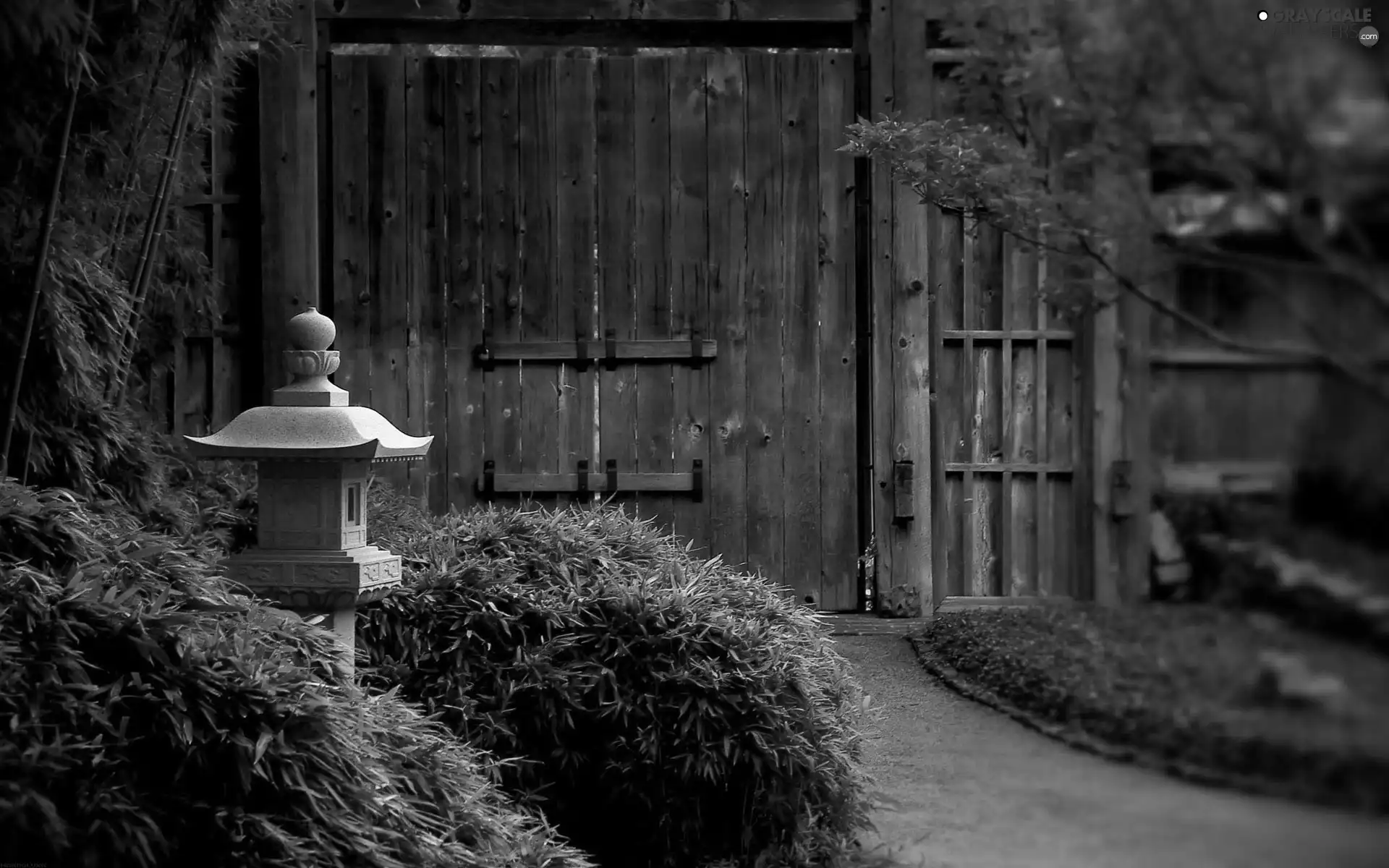 Gate, Bush, Lighthouse, Garden