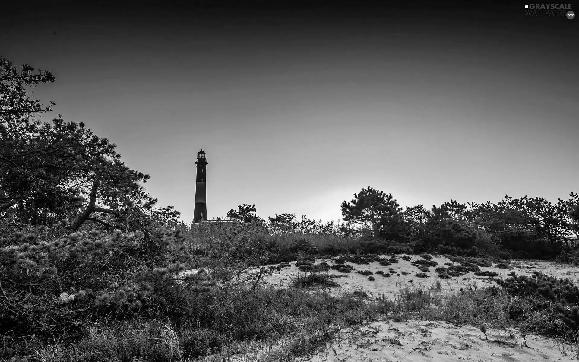 VEGETATION, Coast, Lighthouse, maritime, flash, luminosity, ligh, sun, Przebijające