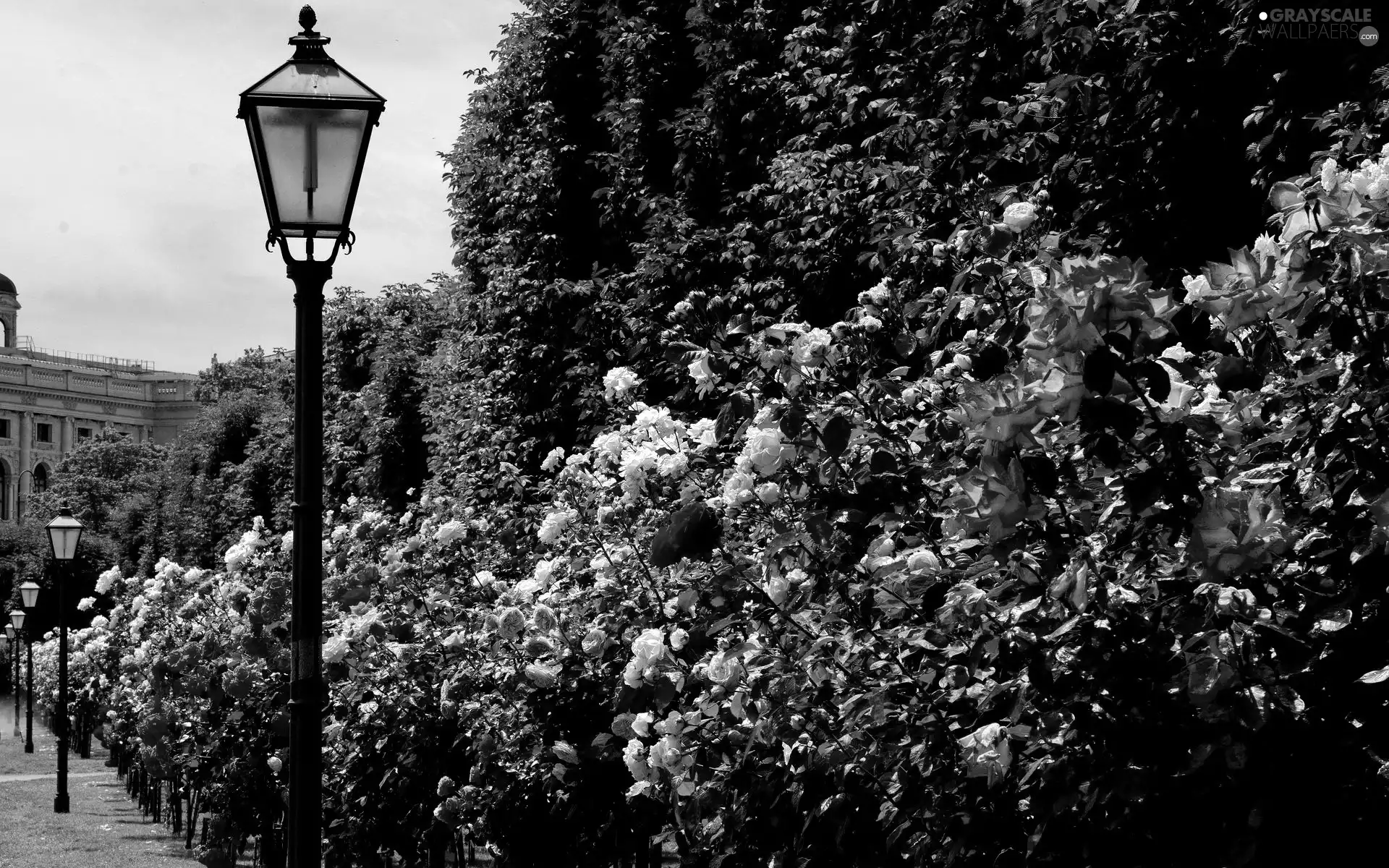 Park, rouge, Lighthouse, alley