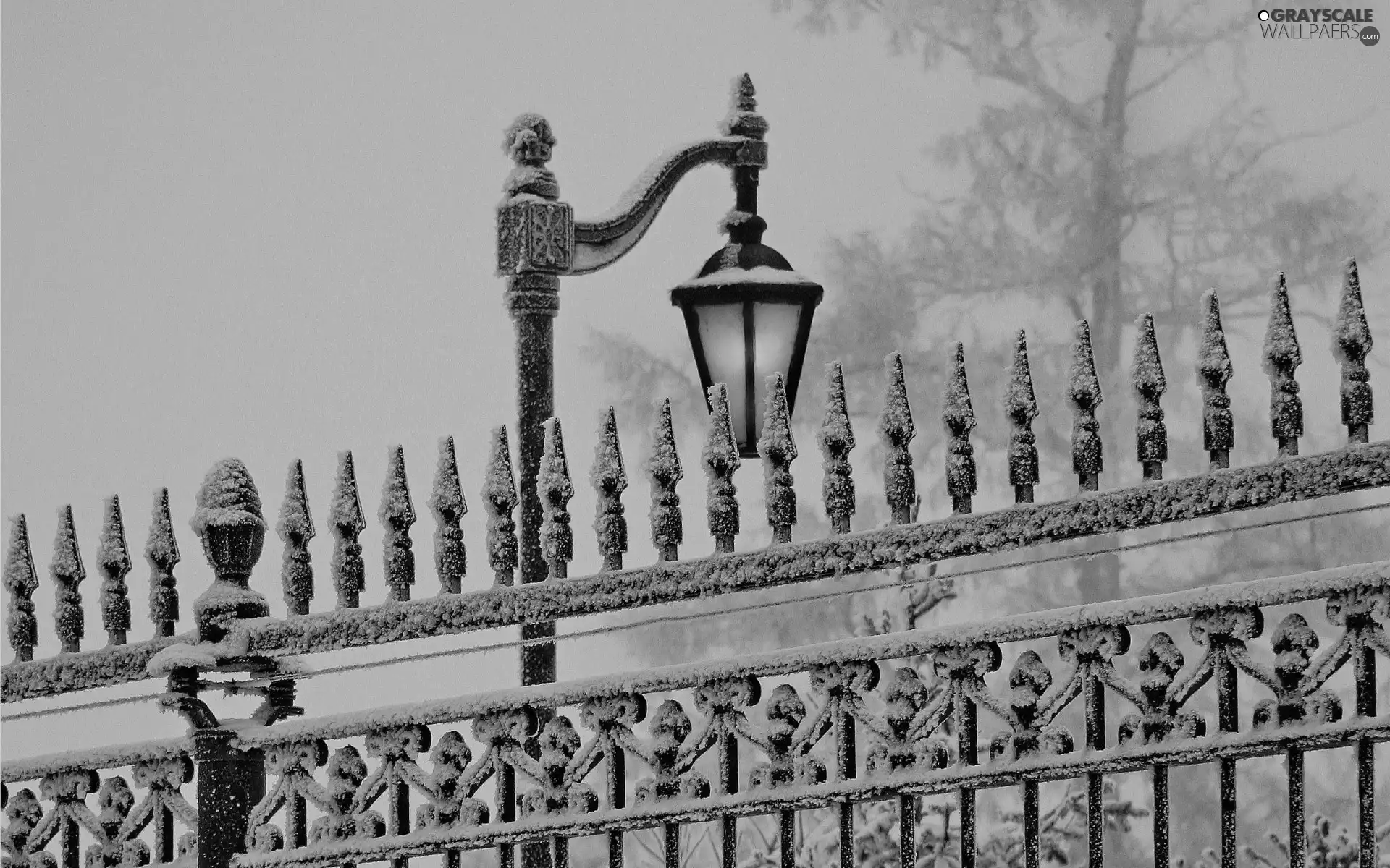 viewes, Park, Lighthouse, winter, fence, trees