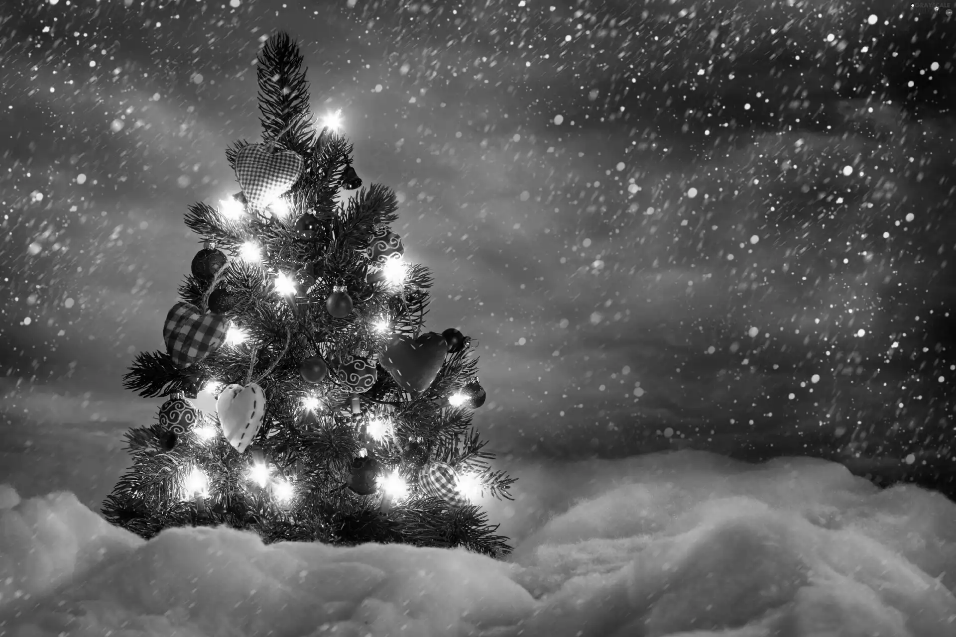 snow, christmas tree, Lights