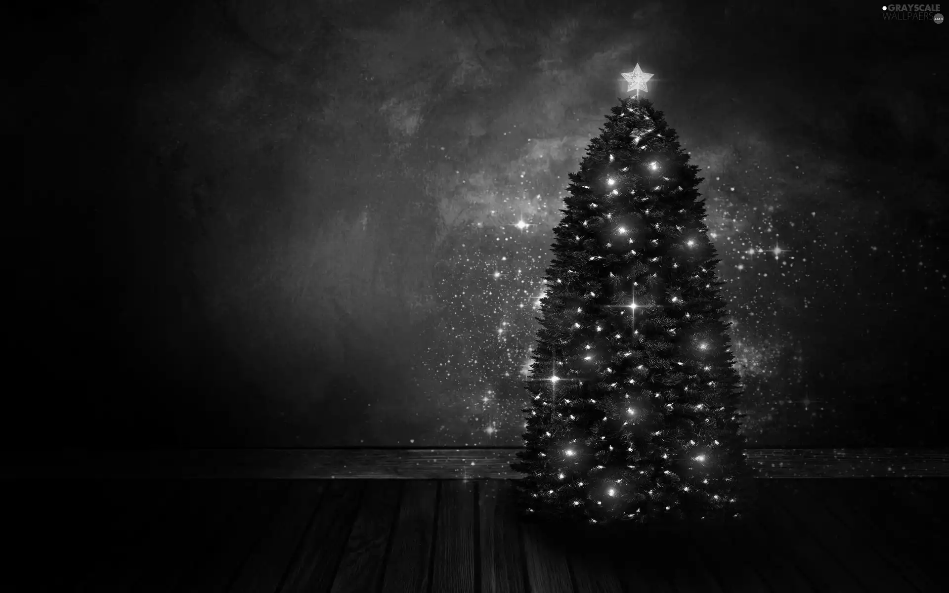 starfish, christmas tree, lights