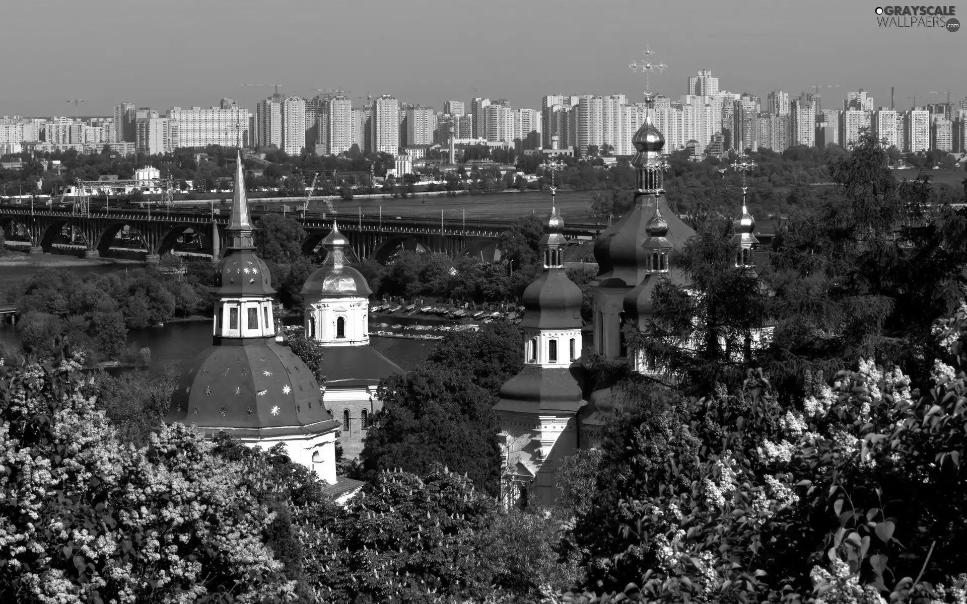 panorama, flourishing, Lilacs, Kiev