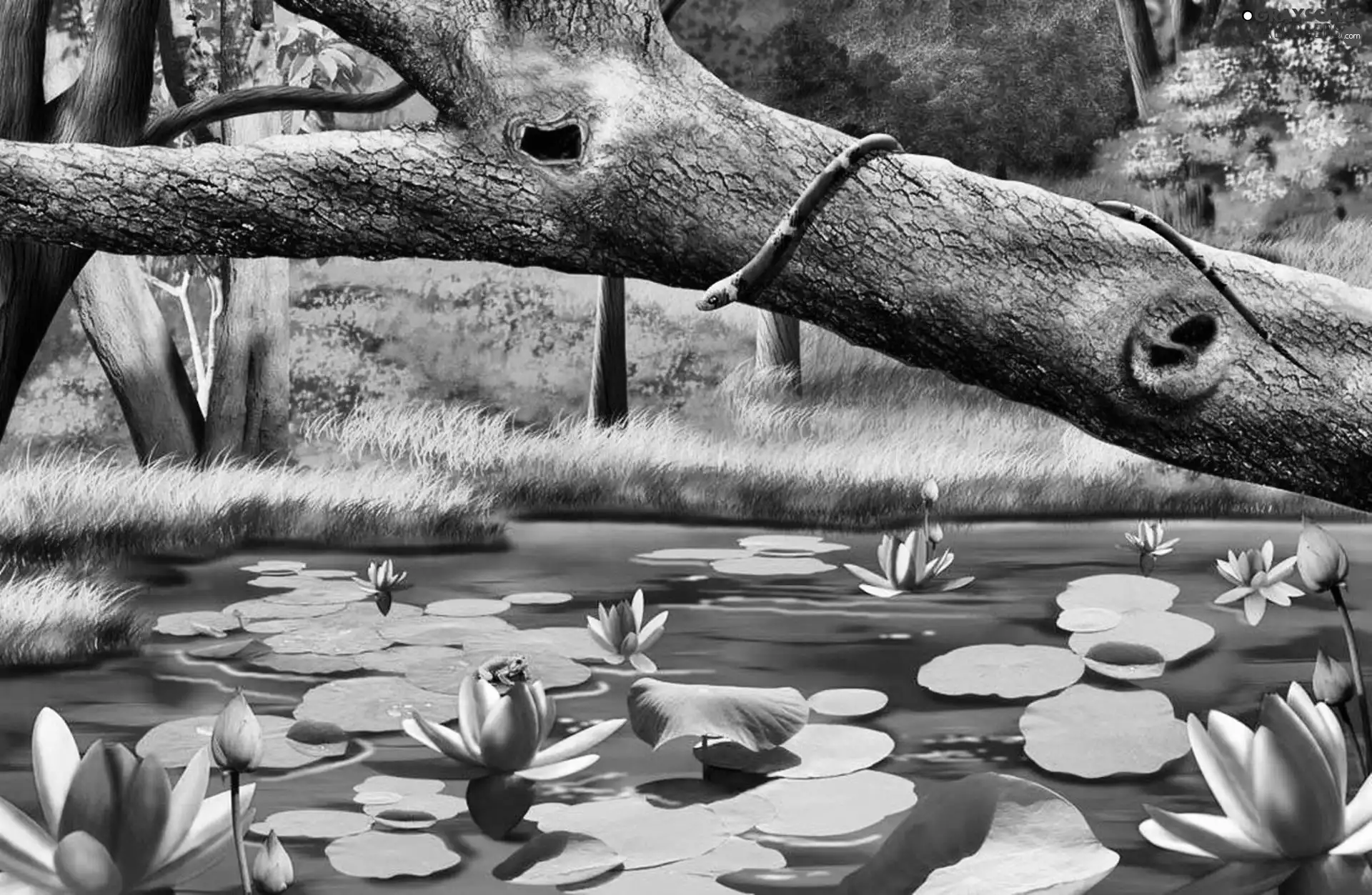 lilies, Snake, trees
