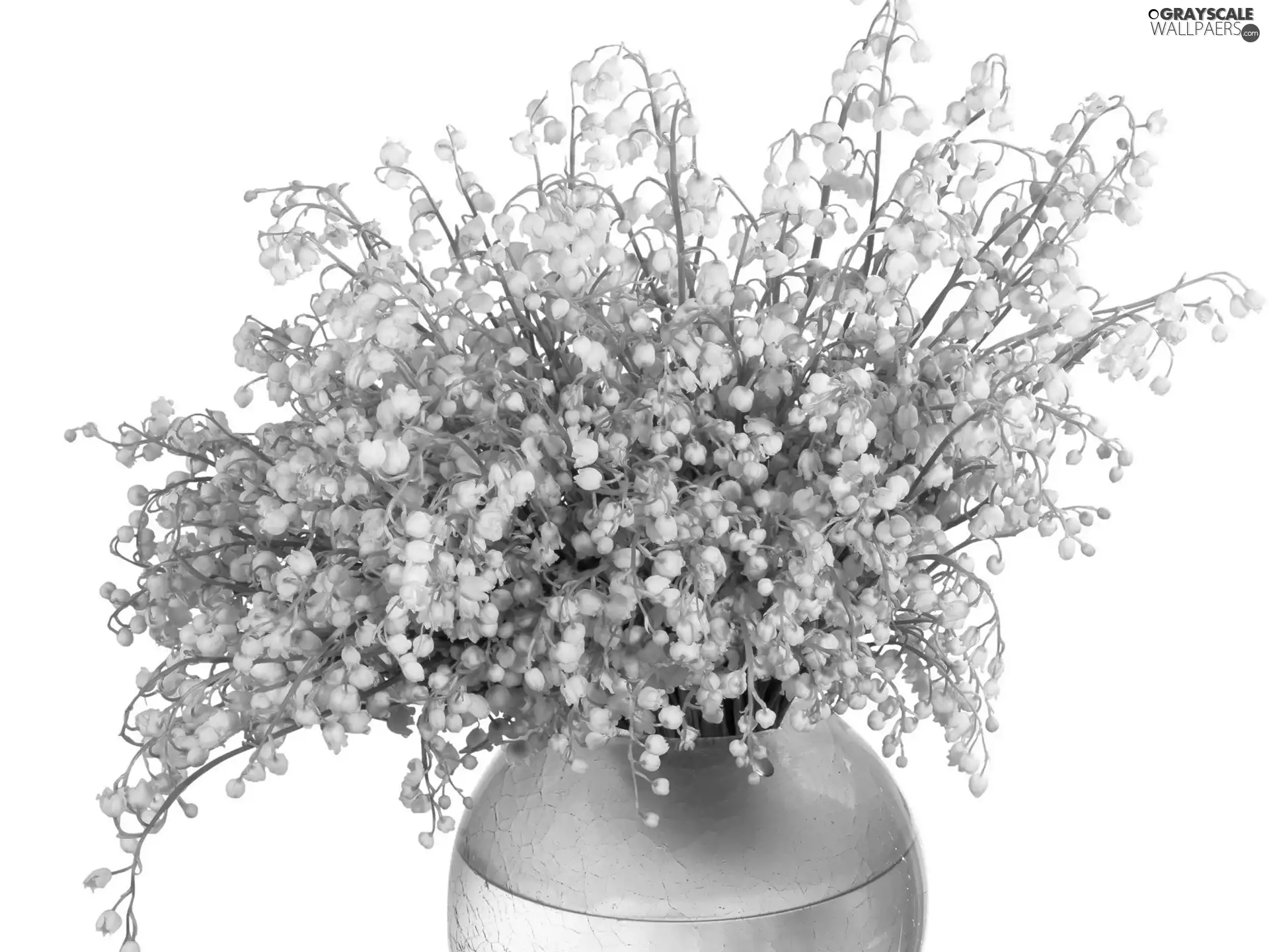 bouquet, Lily of the Valley