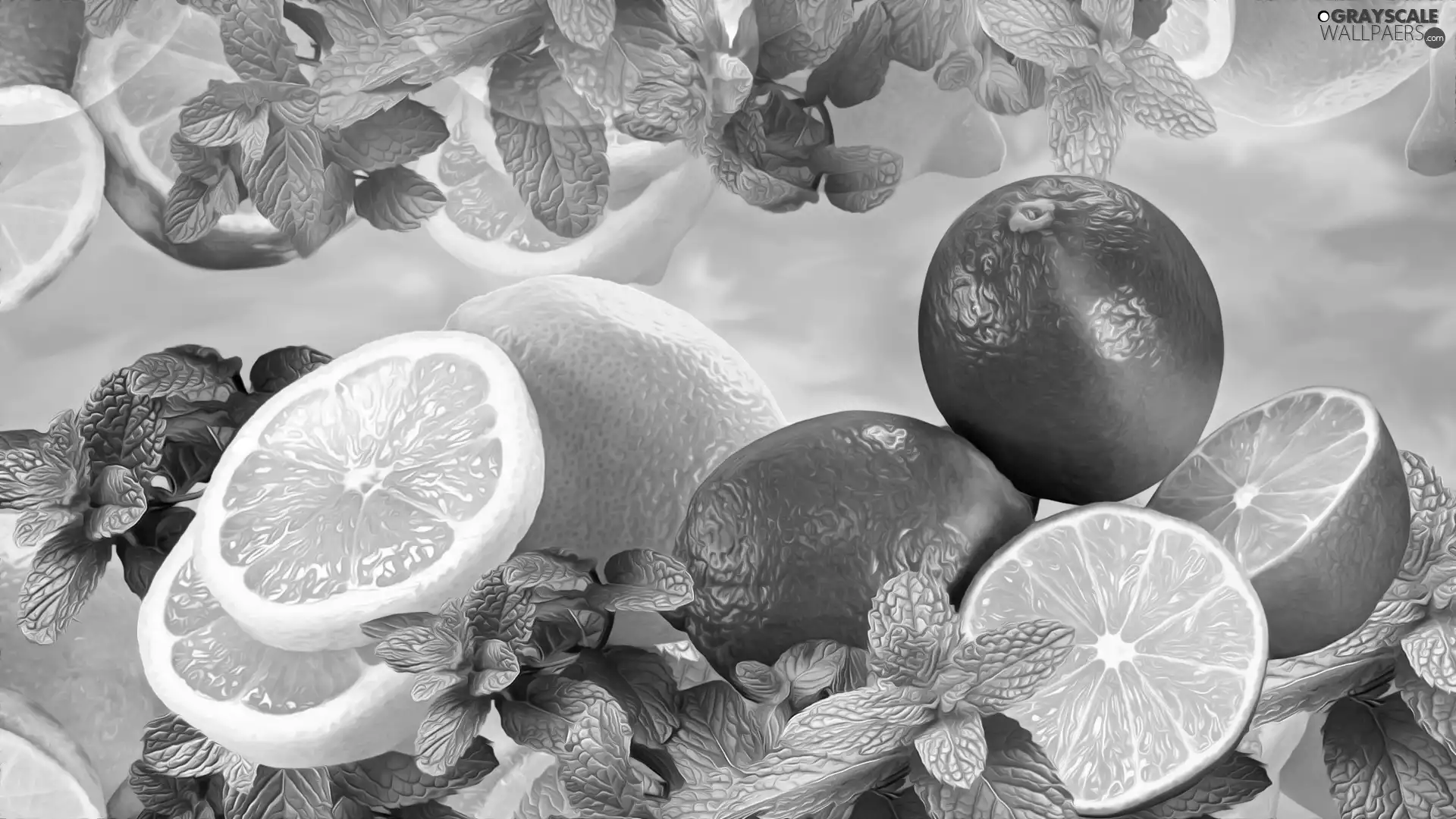 lemons, mint, graphics, limes