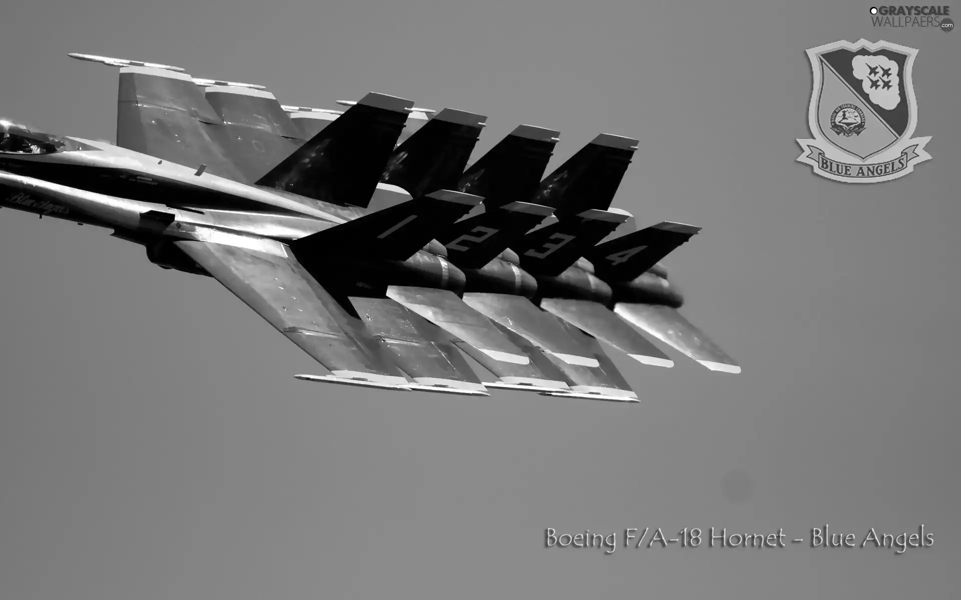 F/A-18 Hornet, Line