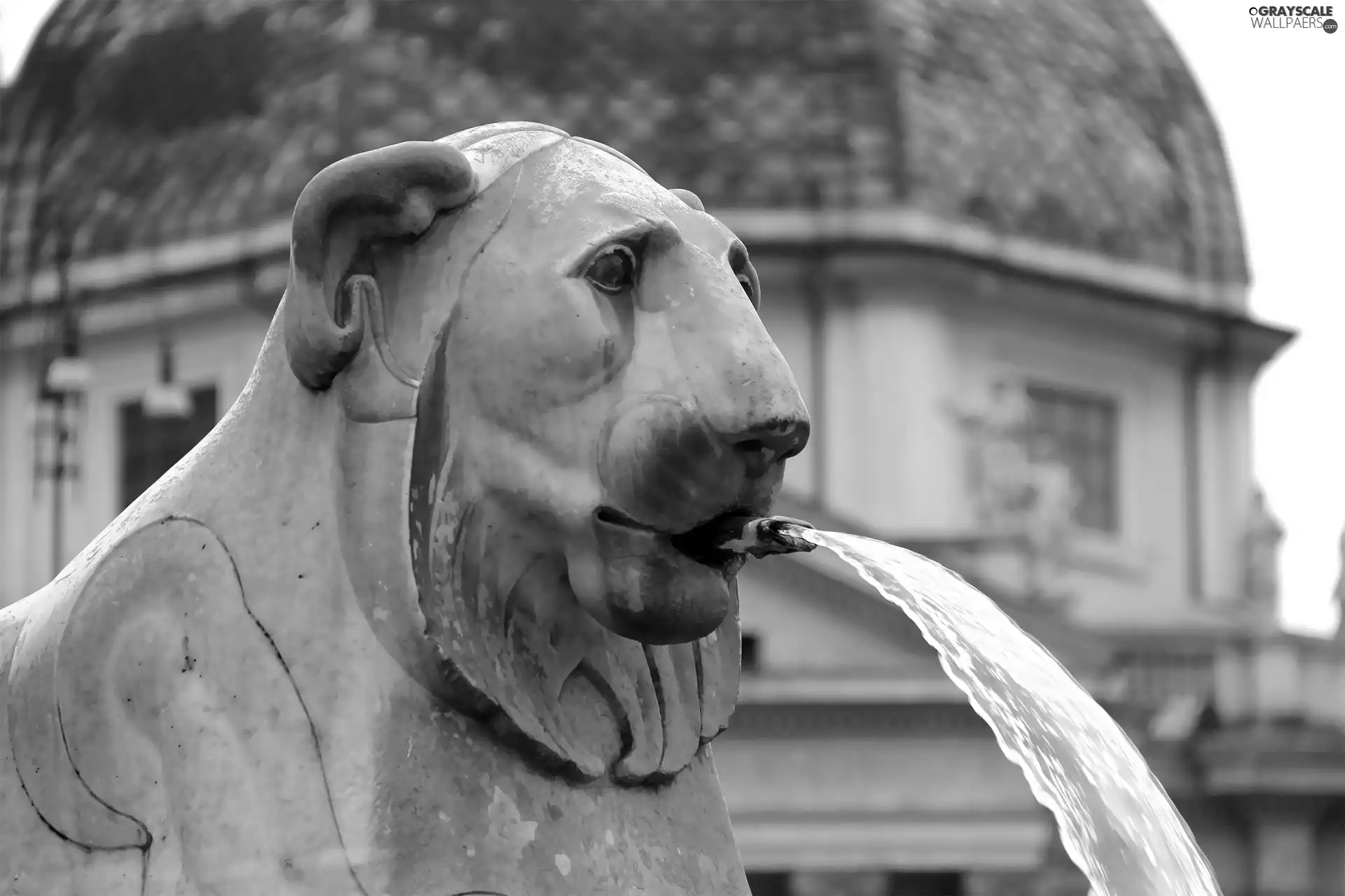 fountain, stone, Lion, Statue monument