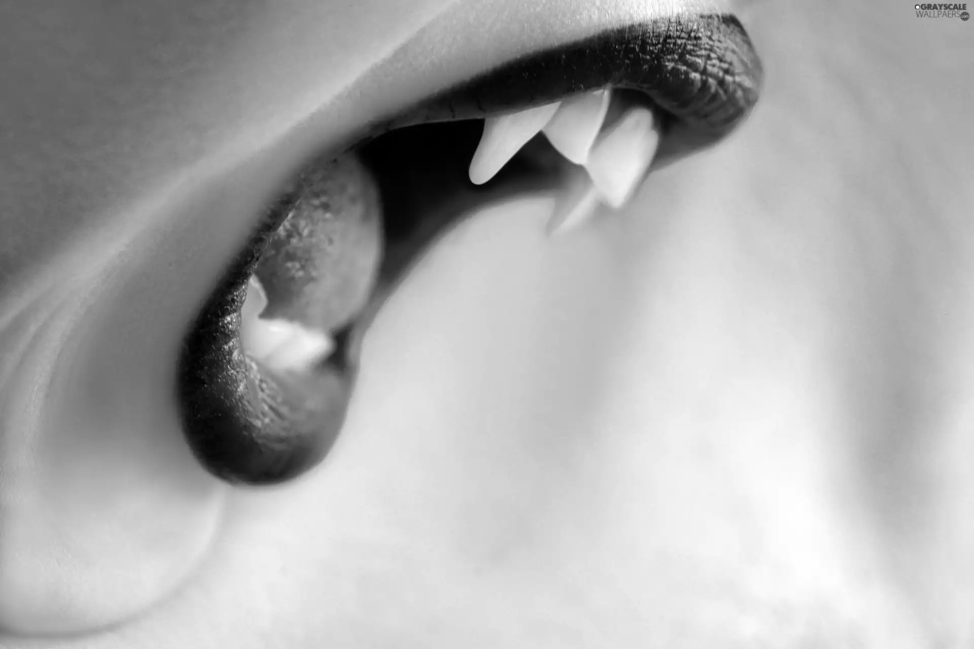 lips, Vampire, canines