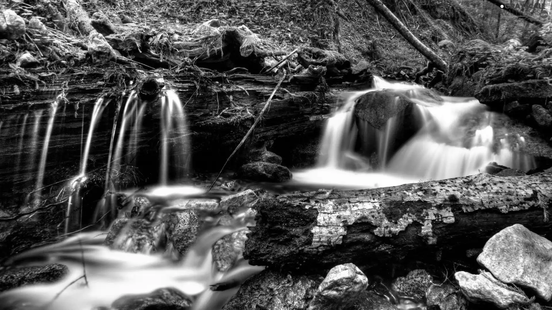 log, waterfall, Stones