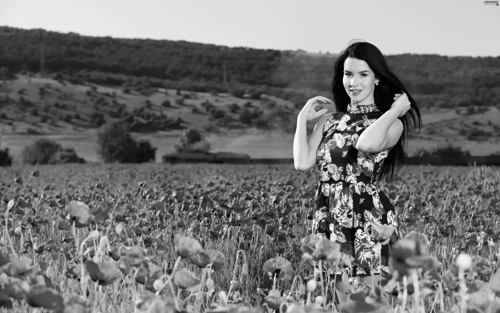 poppy, Women, Lola Marlon, Field
