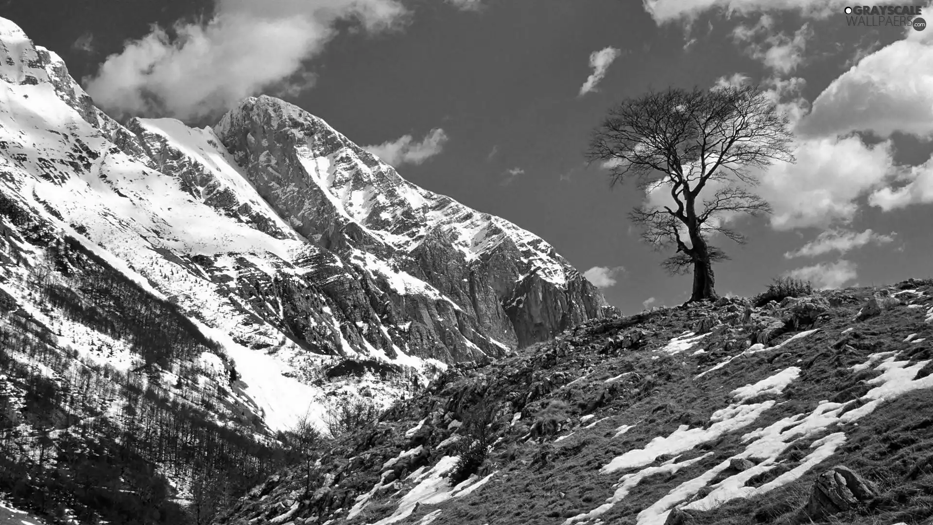 lonely, trees, Mountains, clouds, winter