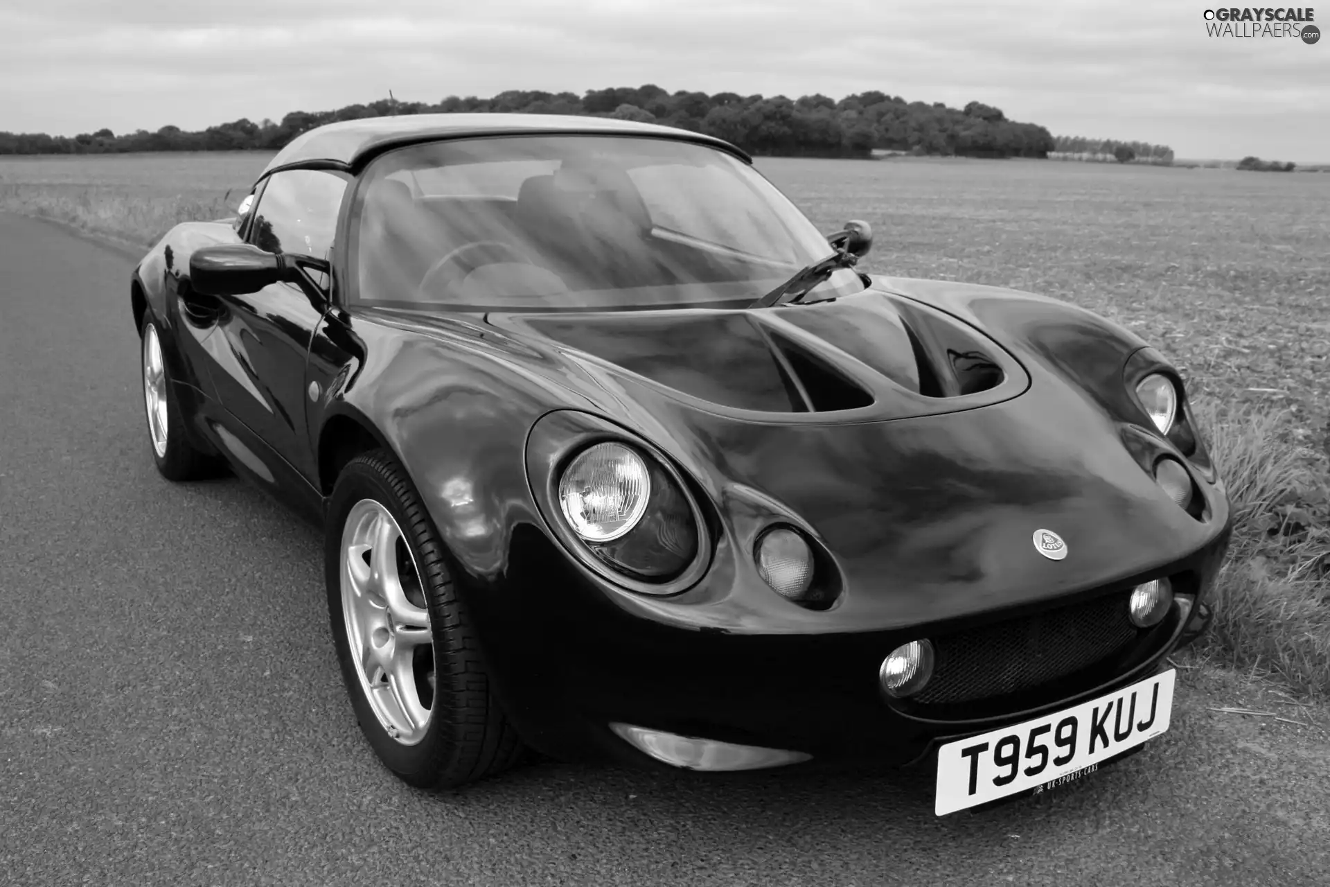 Way, blue, Lotus Elise, Field