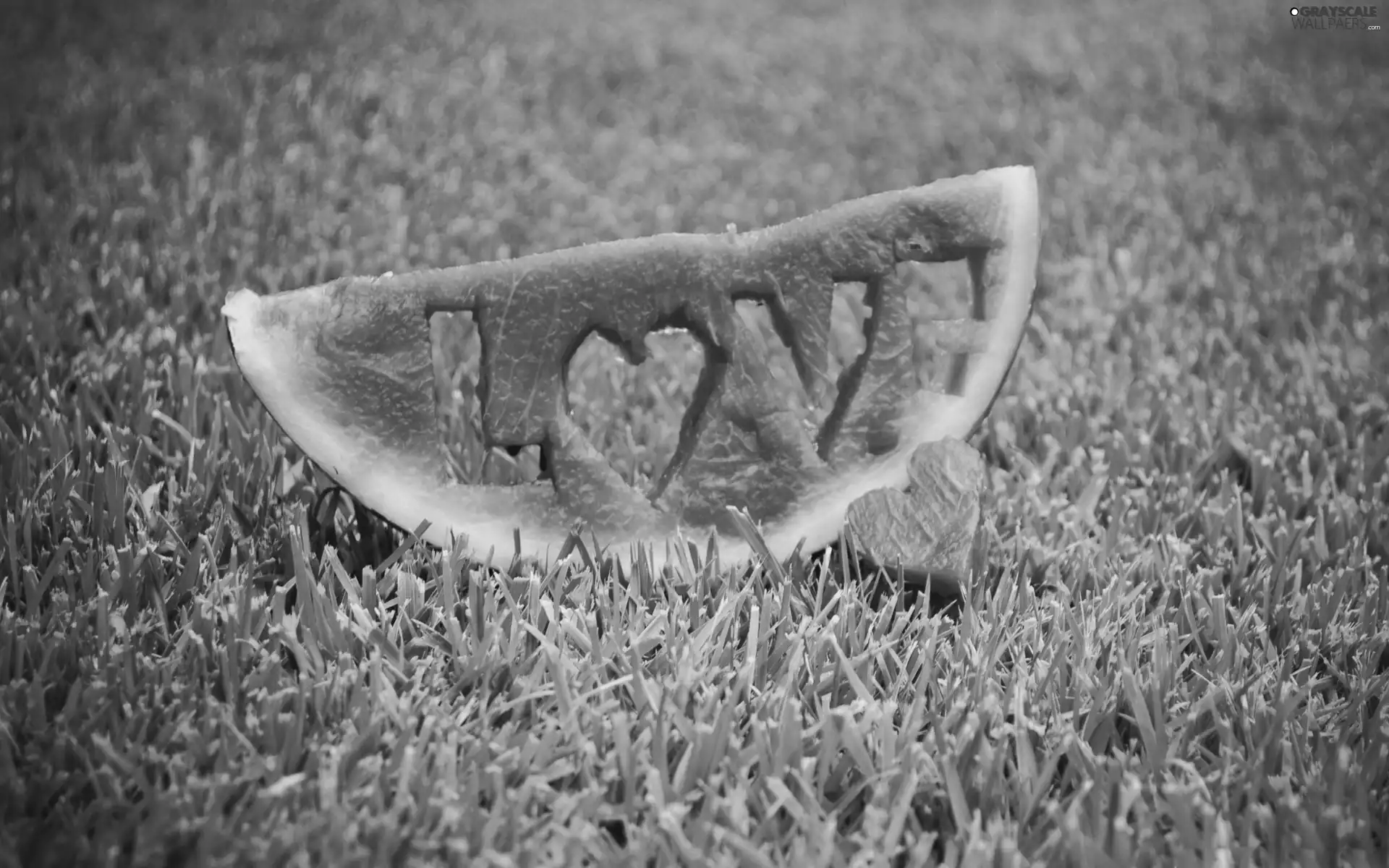 LOVE, watermelon, grass