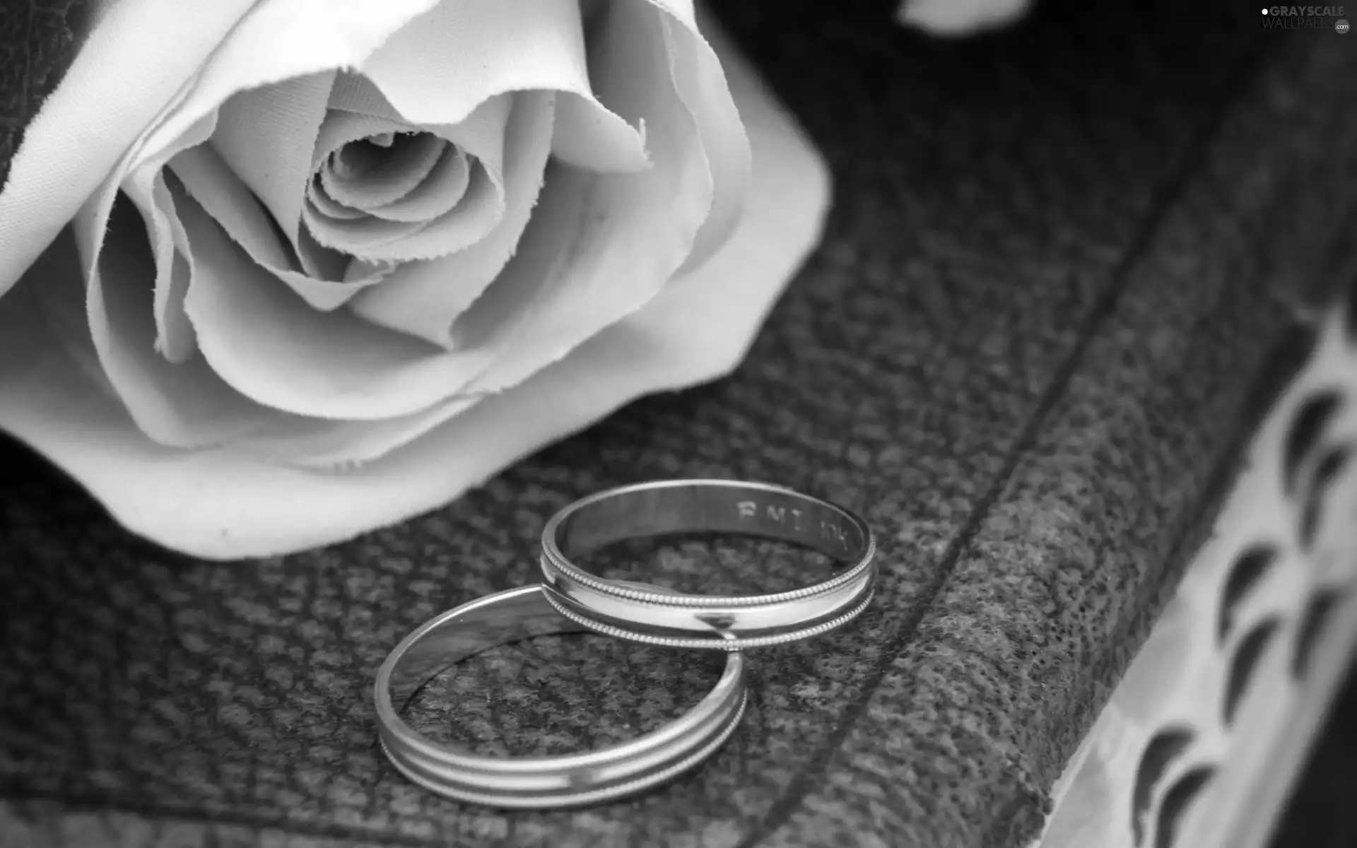 rose, rings, love, Two