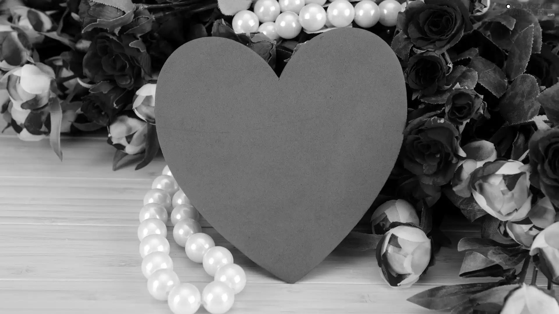 roses, love, Valentine