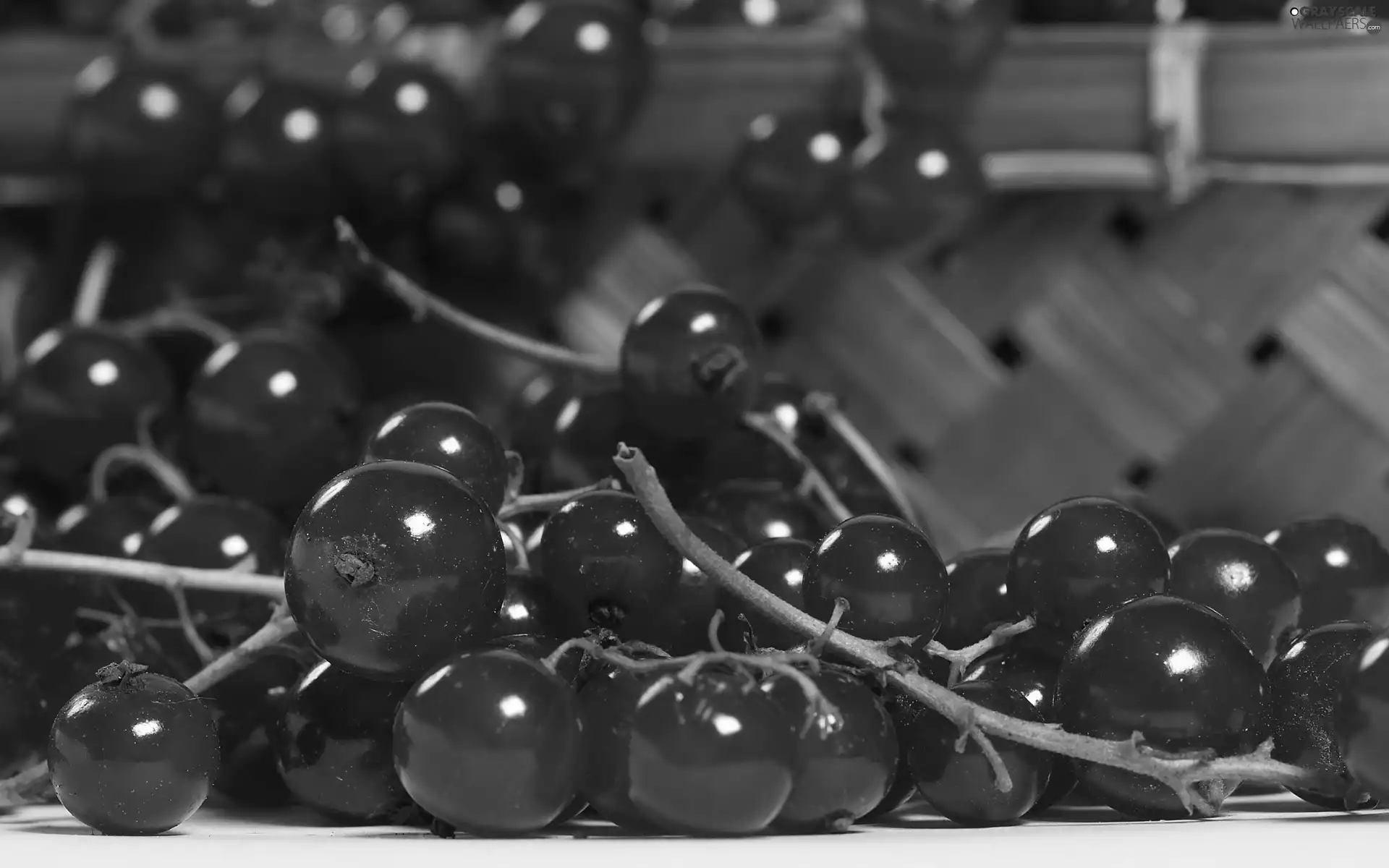 Lubyanka, Red, currants
