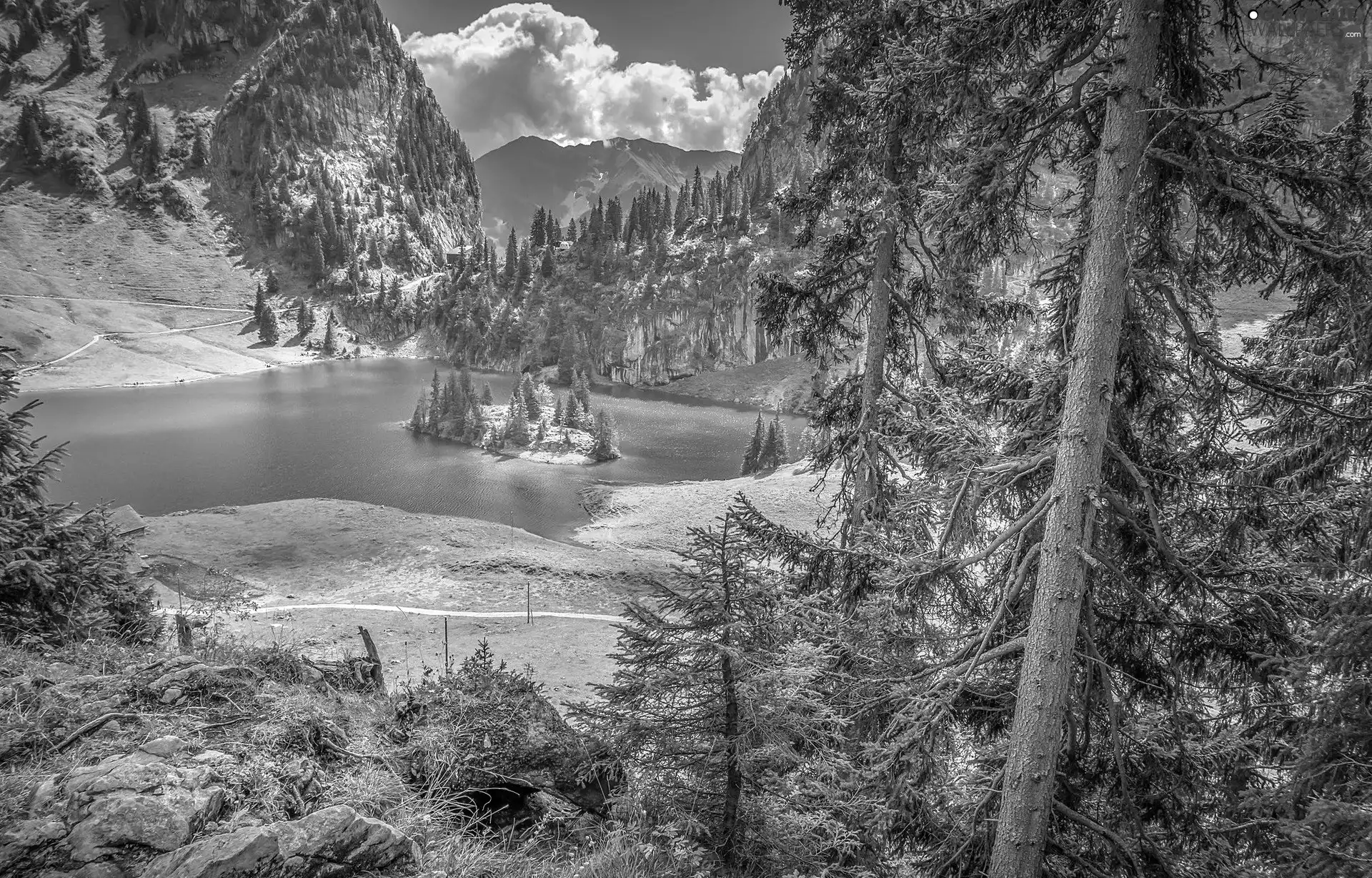 ligh, Mountains, Lake Hinterstockensee, flash, forest, Switzerland, Bernese Alps, luminosity, sun, Island
