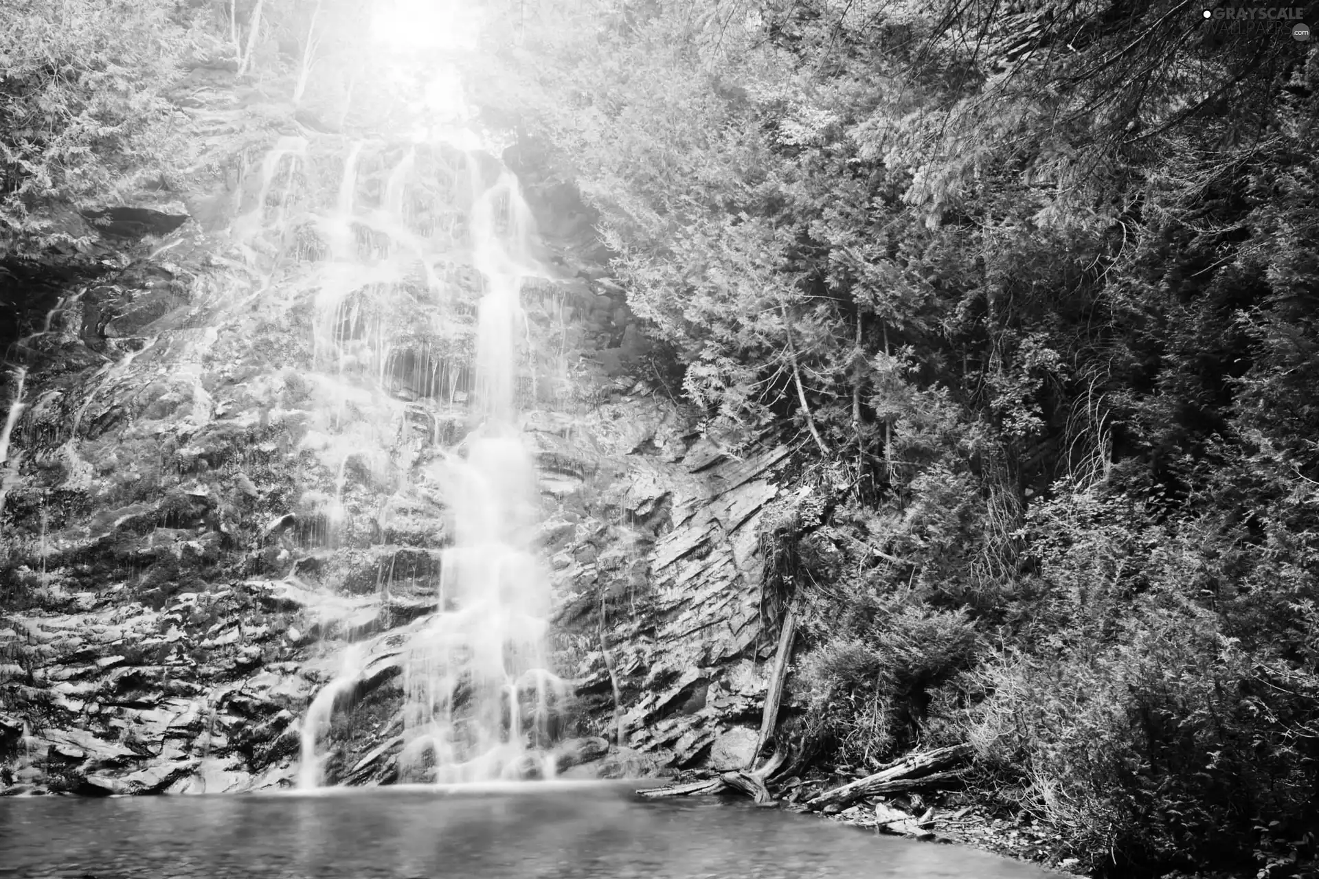 flash, ligh, trees, sun, waterfall, luminosity, viewes