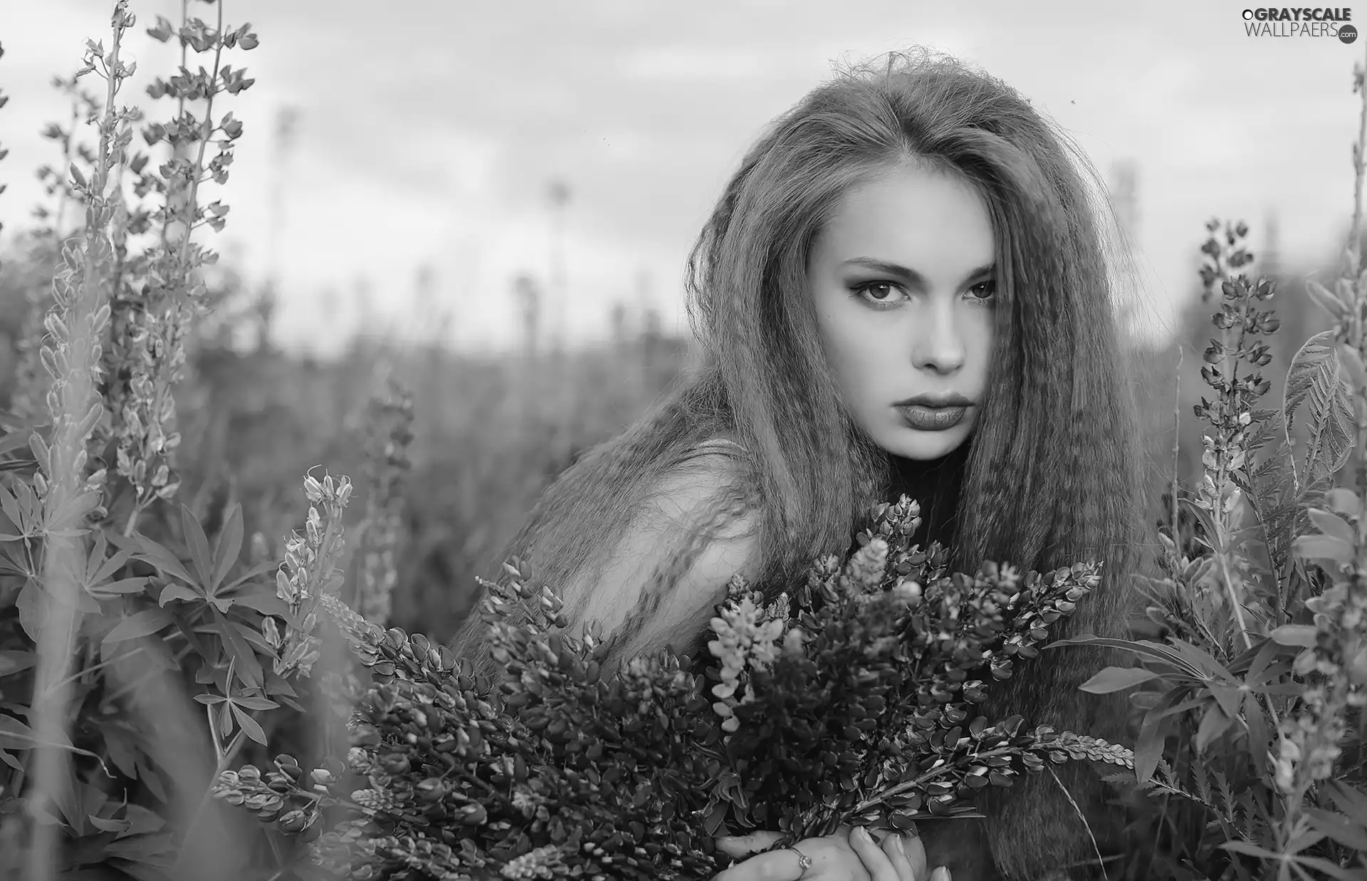 lupine, redhead, Women