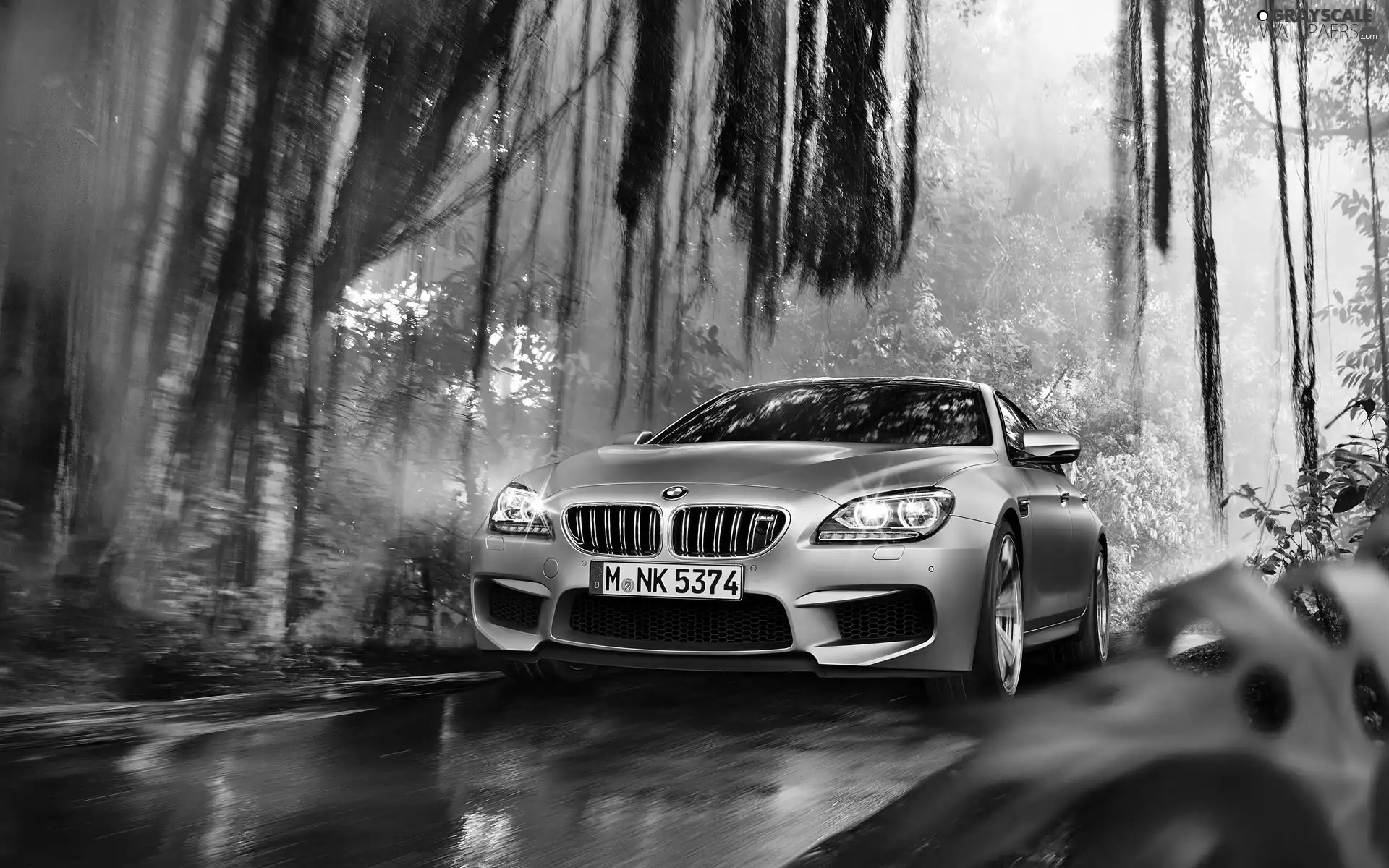 Bmw M6 GranCoupe