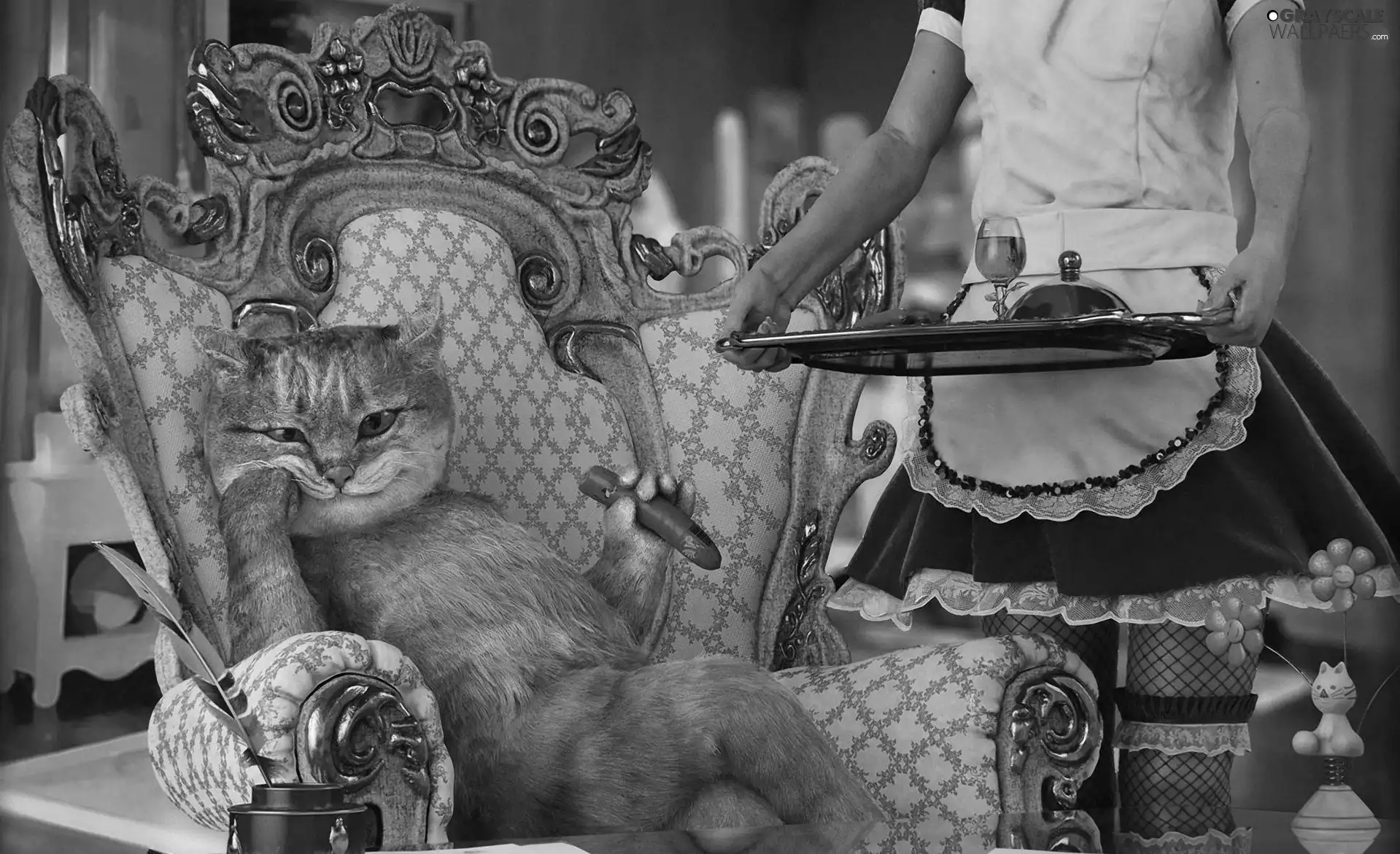 maid, cat, luxury
