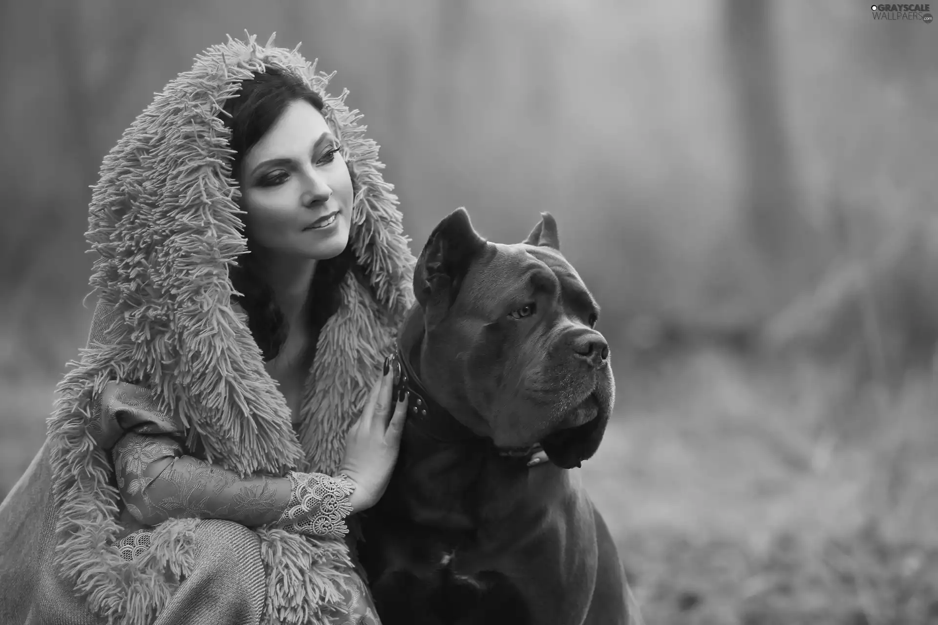 dog, Cane Corso, make-up, Big, Women