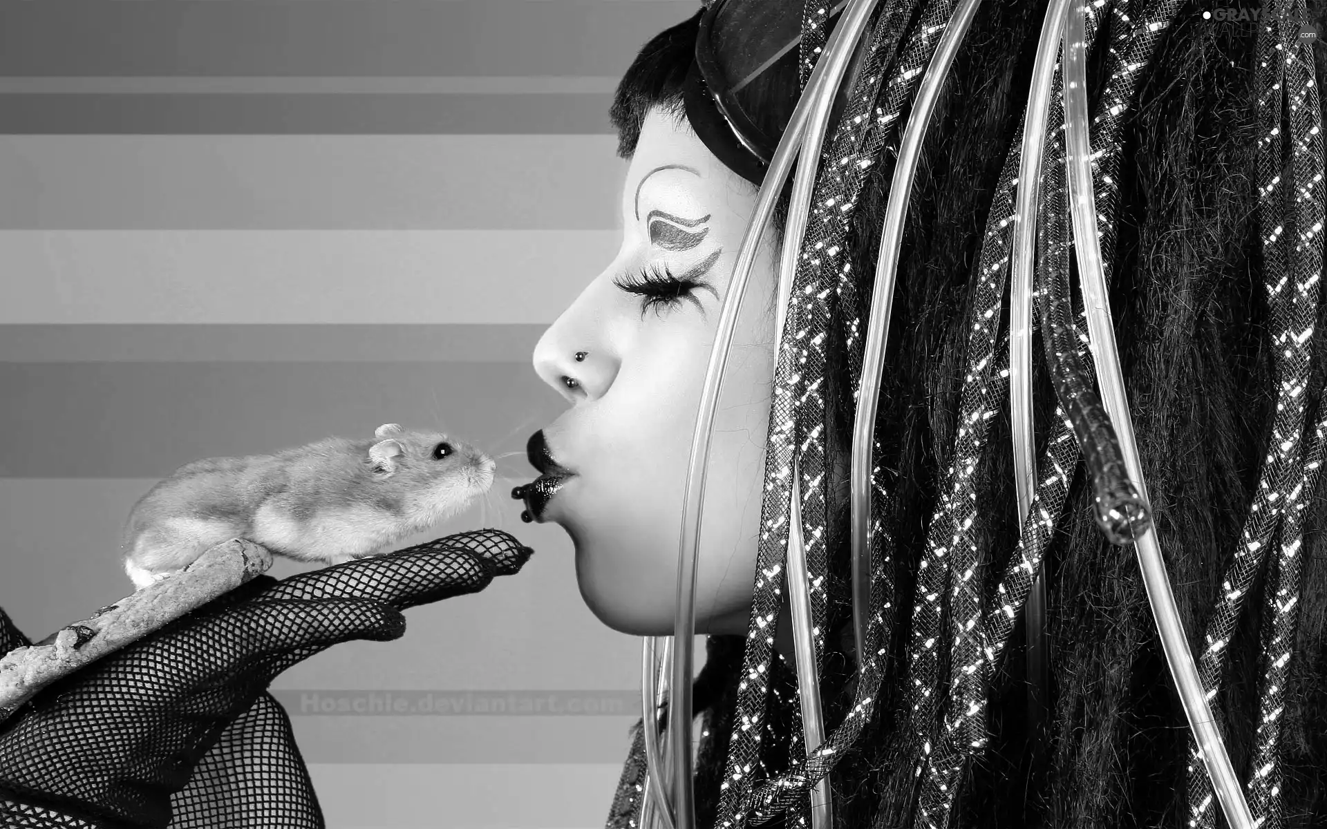 hamster, Women, make-up