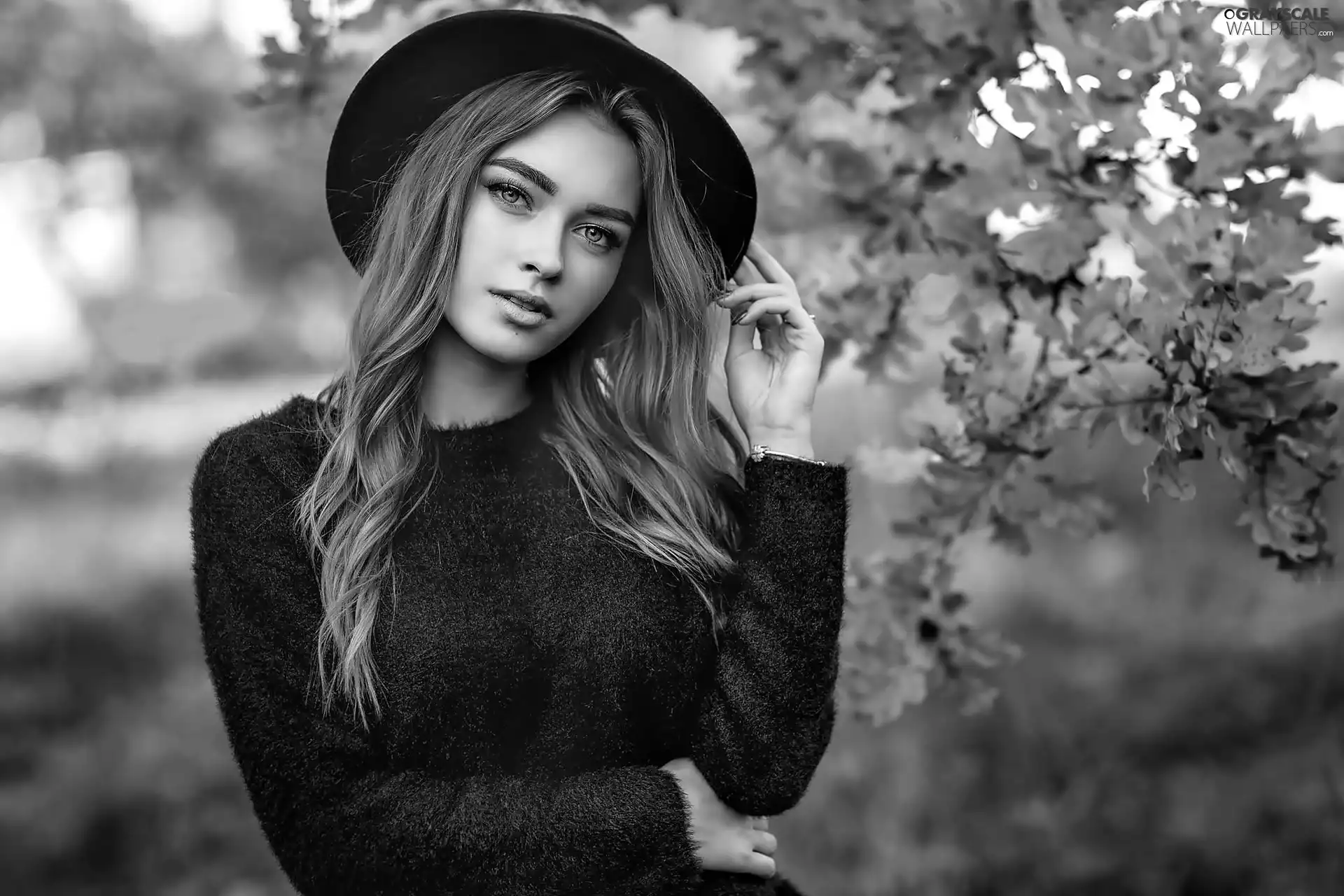 make-up, Women, oak, autumn, trees, Hat