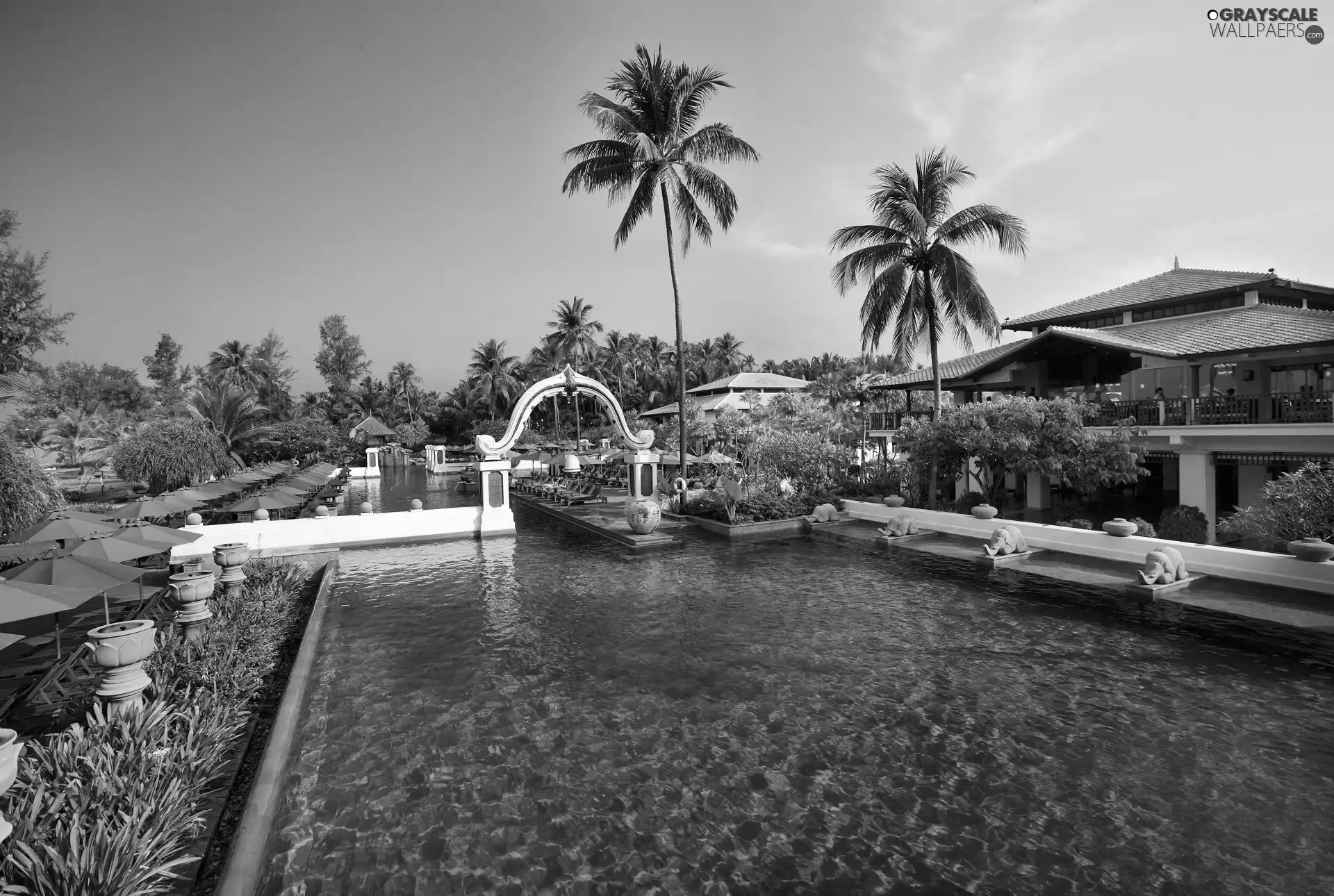 Hotel hall, tropic, Maldives, Pool
