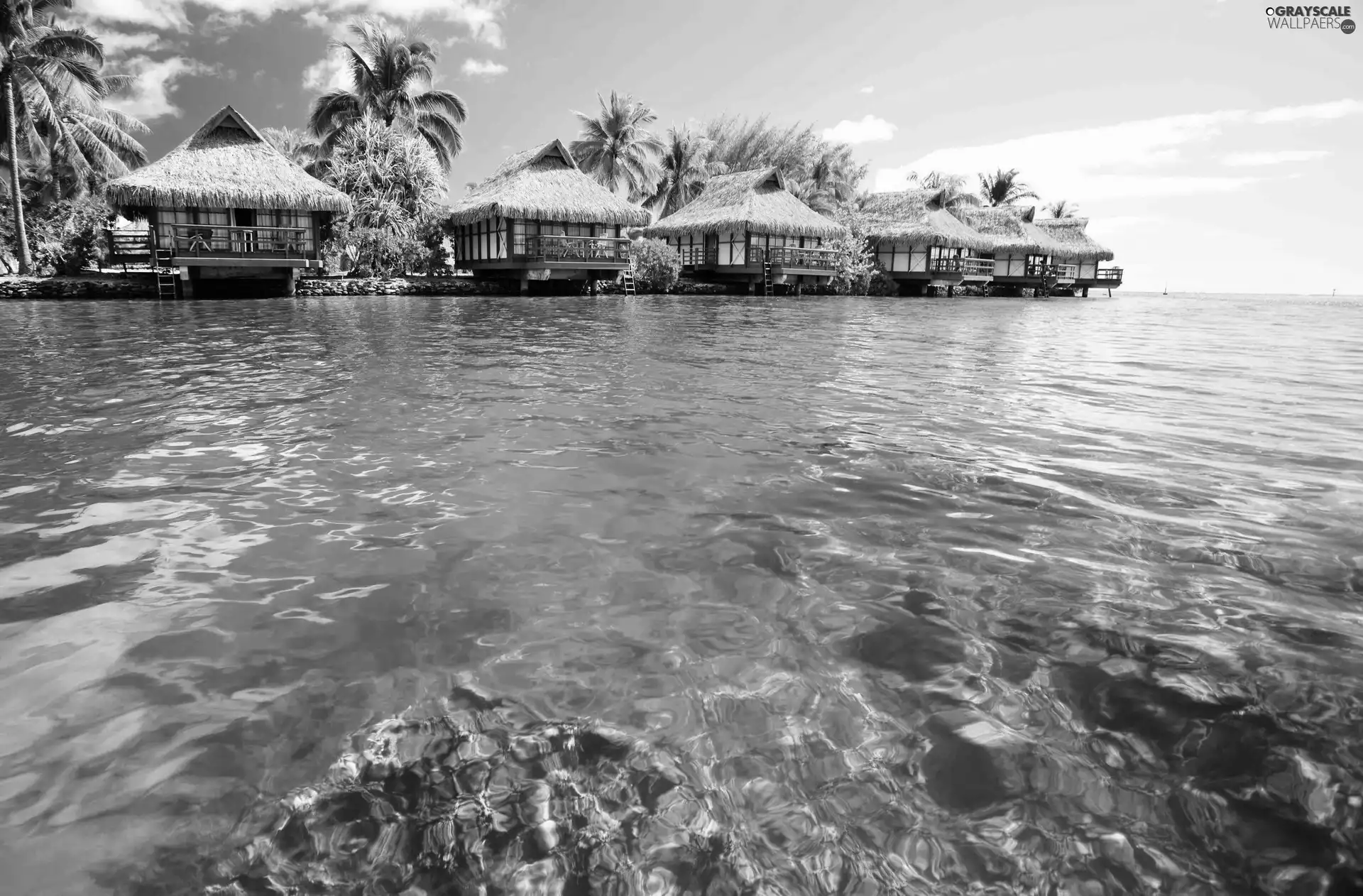 Houses, Tropical, Maldives, sea