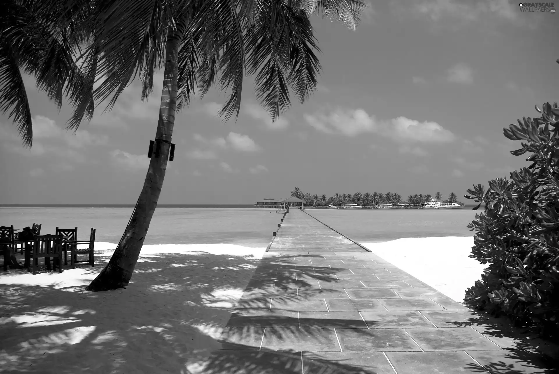 sea, Palms, Maldives, Beaches